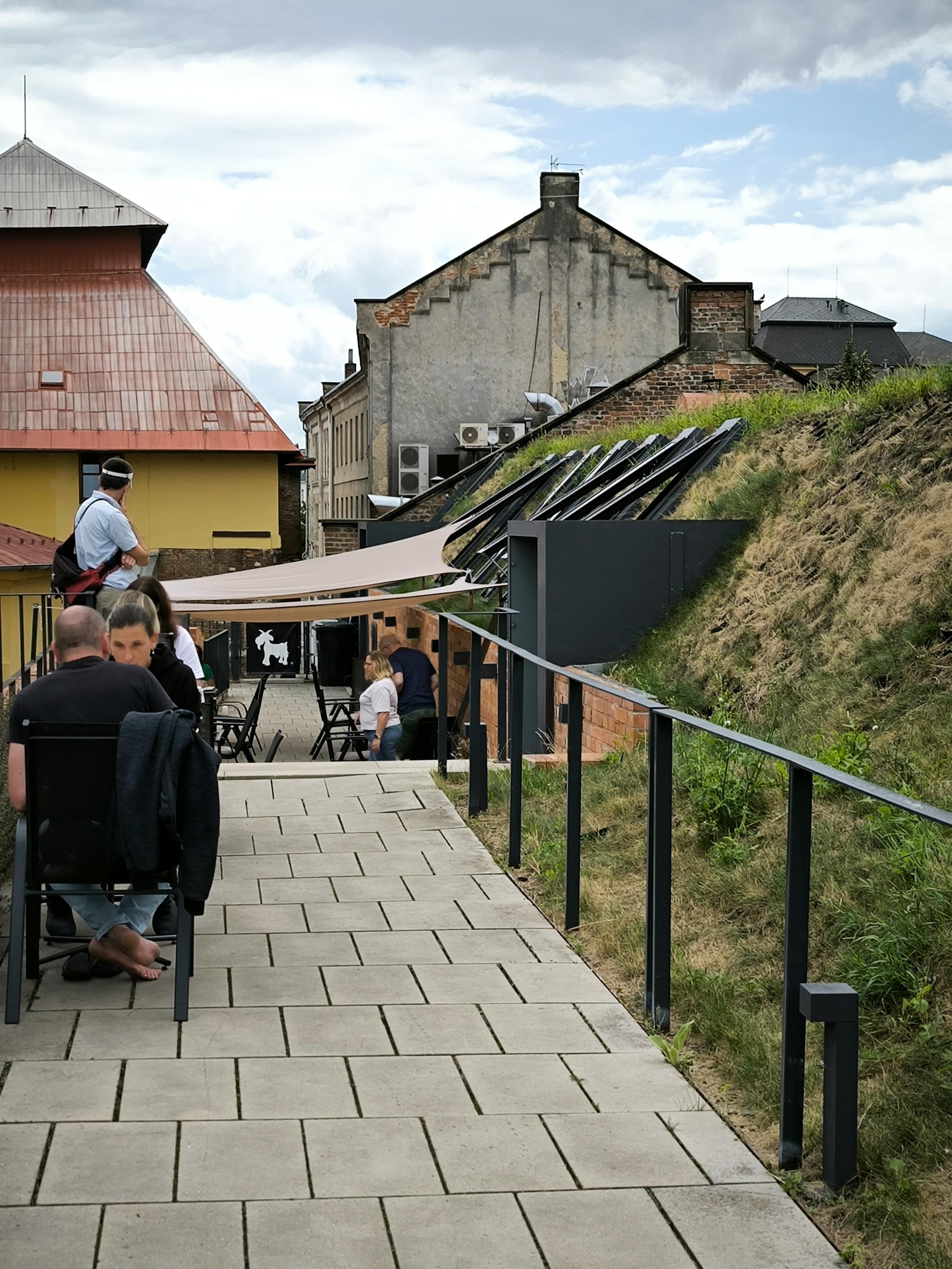 Koza zůstala celá foto 4
