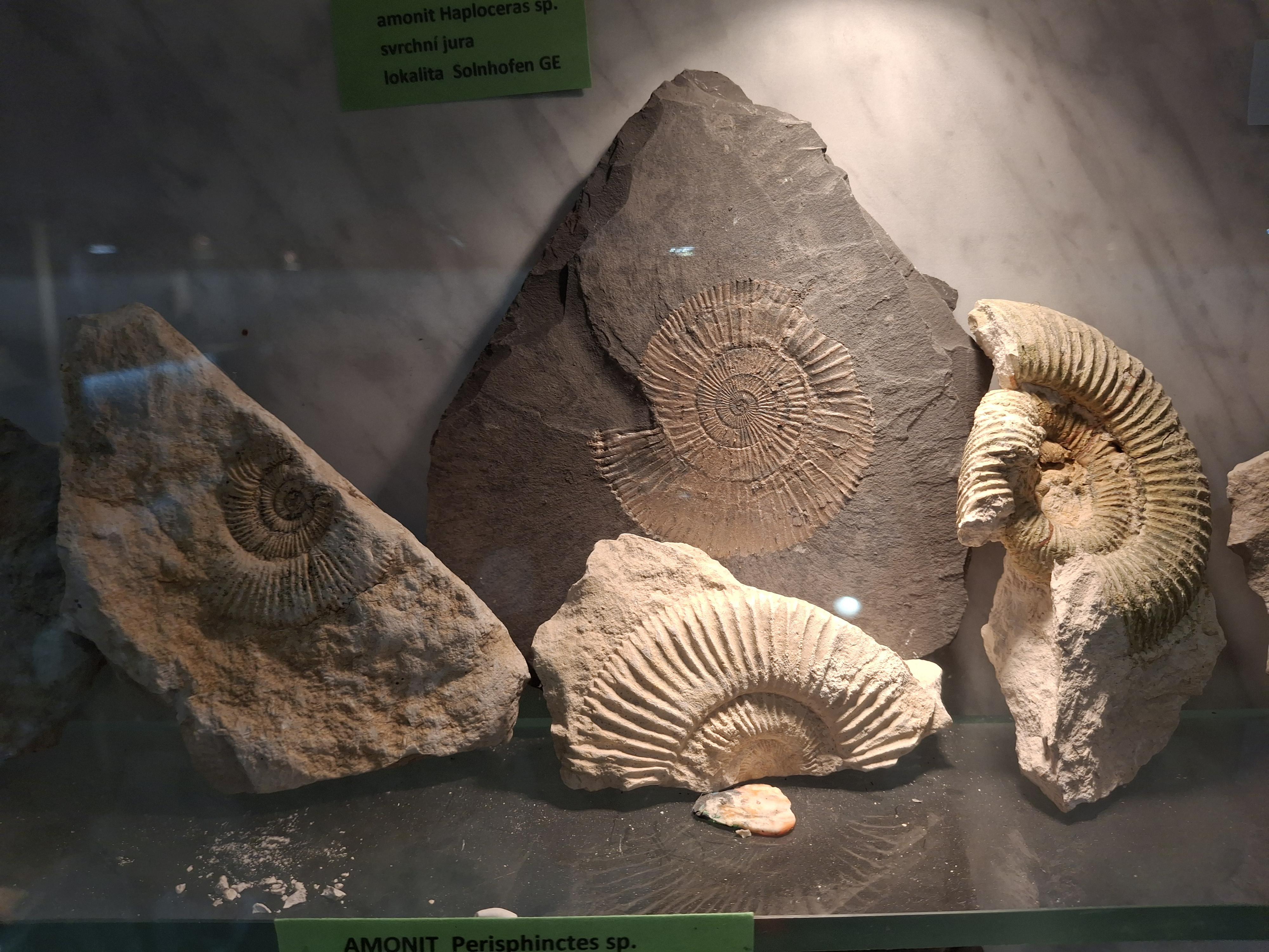 Muzeum naftového dobývání a geologie foto 5