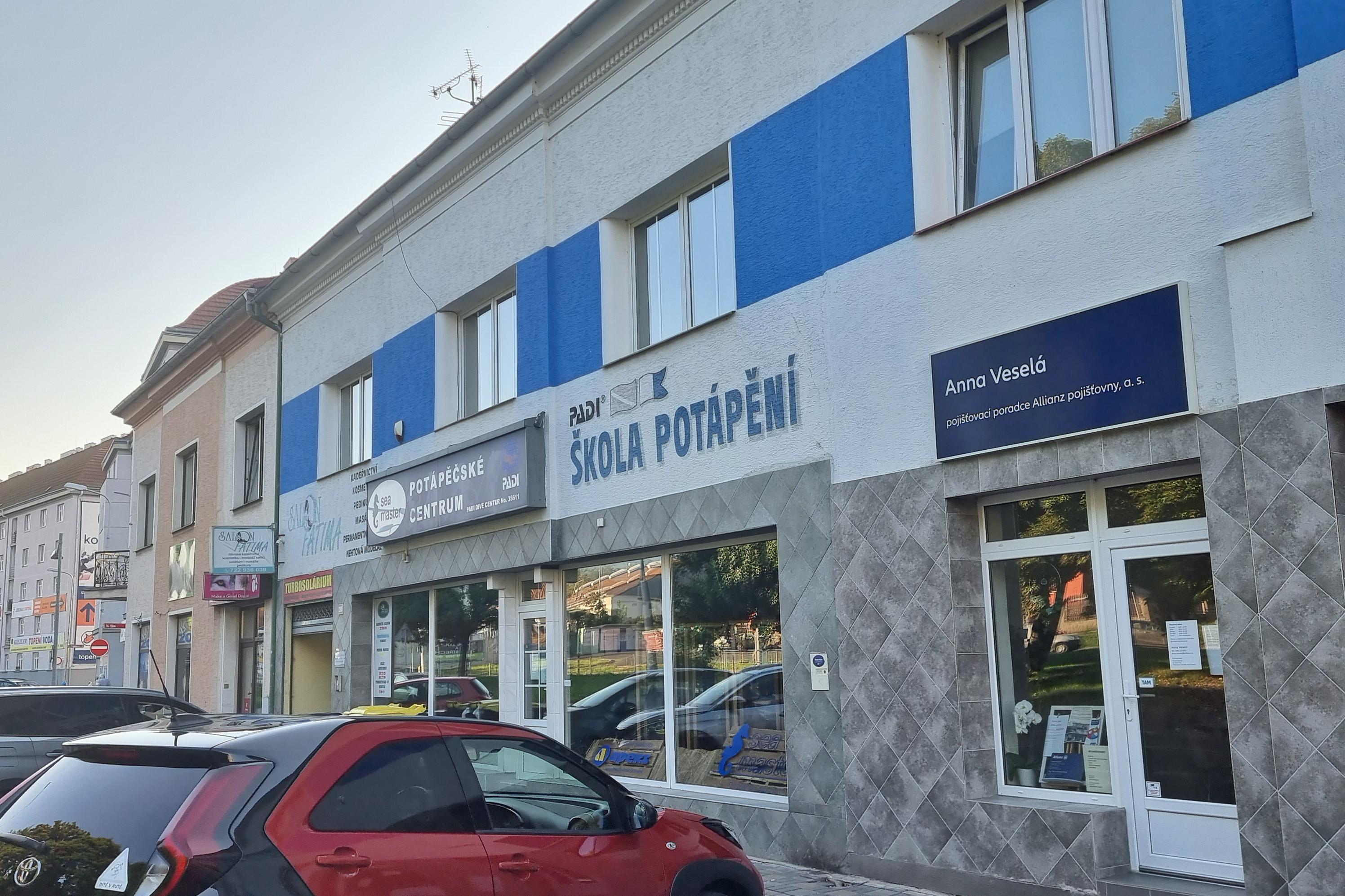 Anna Veselá Allianz