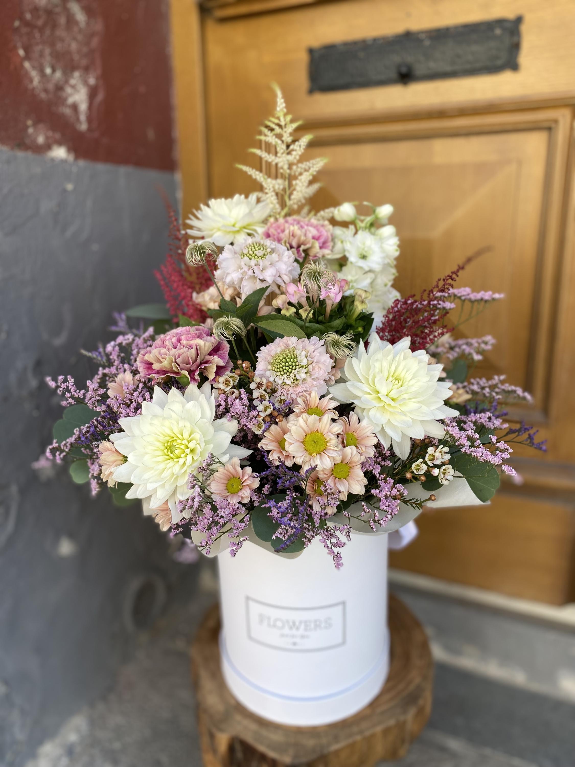 La mimosa flowers foto 2