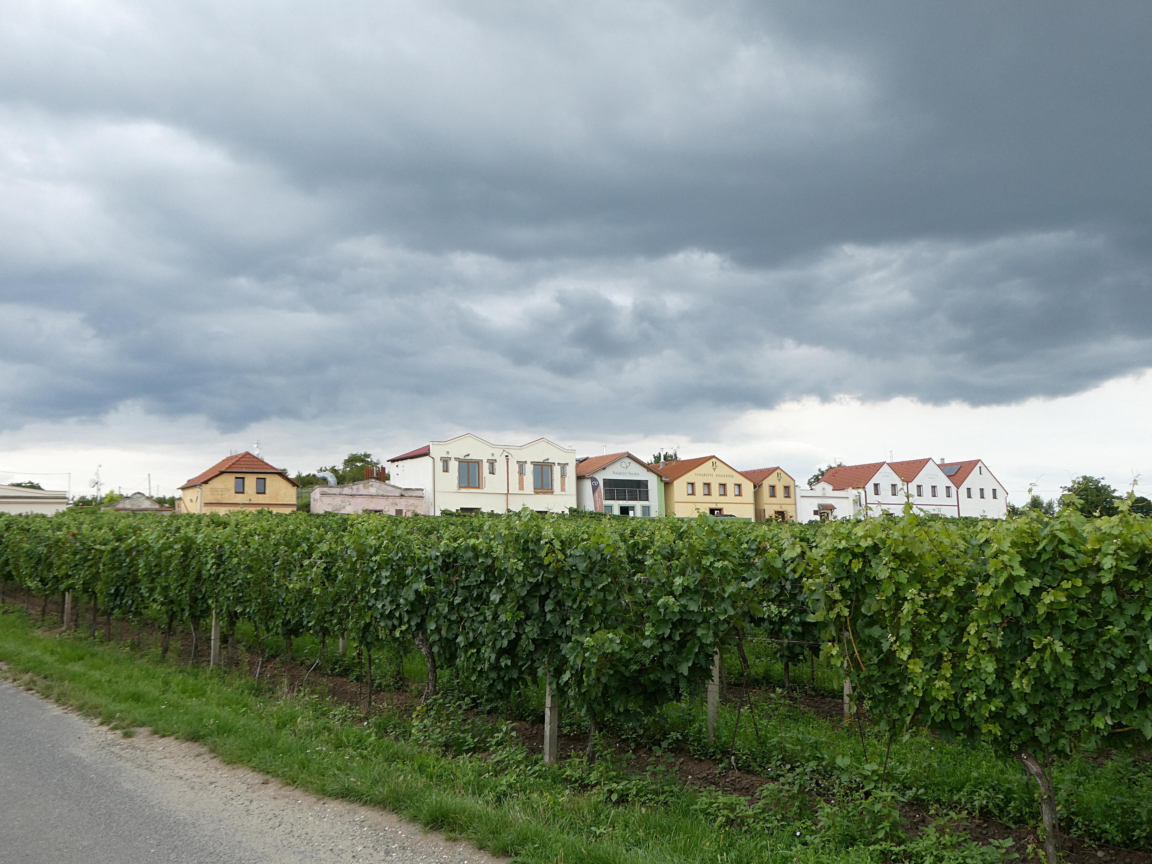 Archivní sklep Vinařství Volařík foto 6