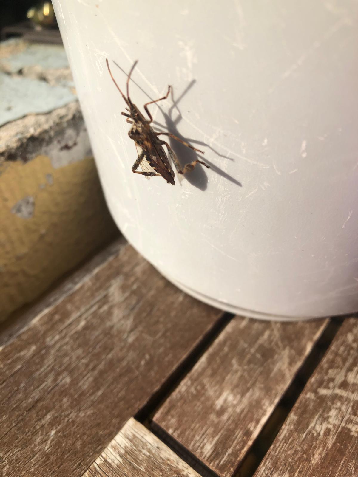 Posudková komise MPSV foto 2