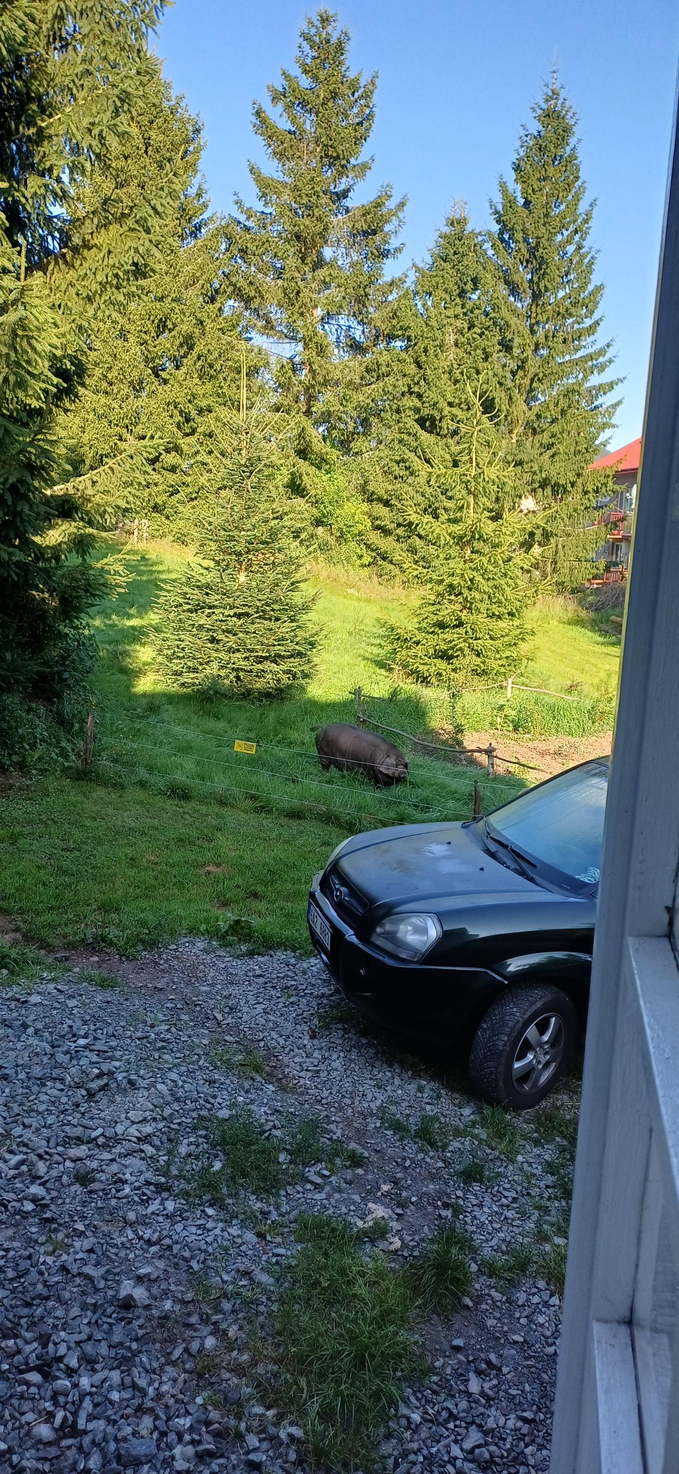 Trempská Chalupa Aronie foto 5