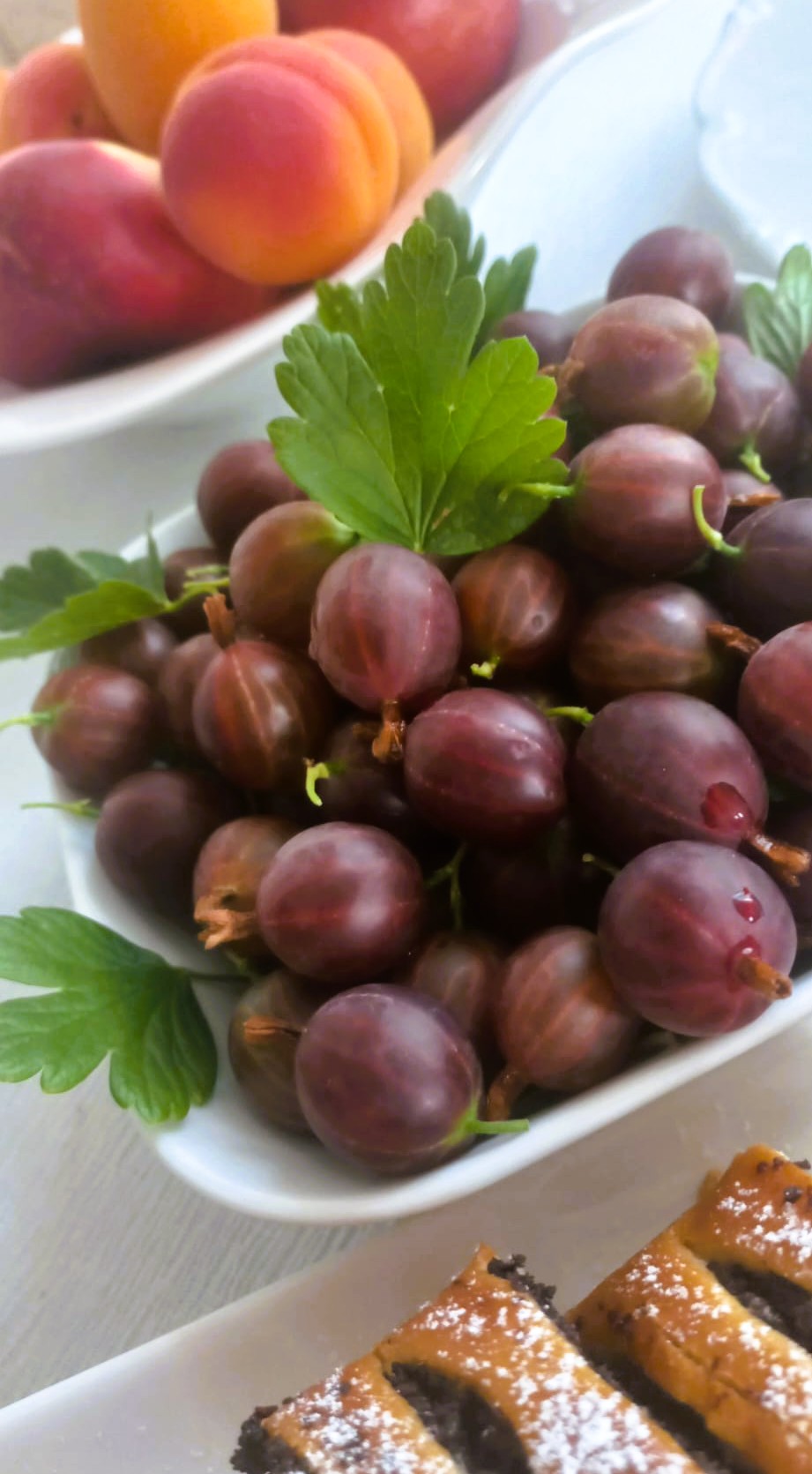 Balneo hotel Villa Walir foto 3