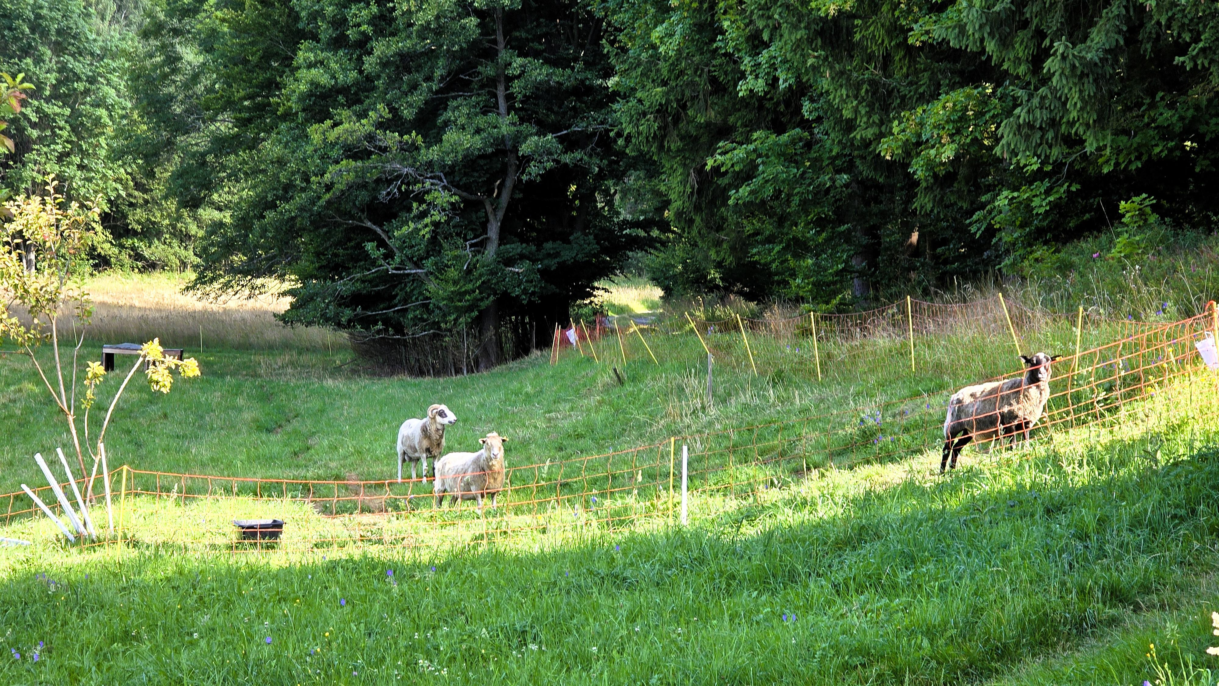 Zlatorudná chalupa foto 5