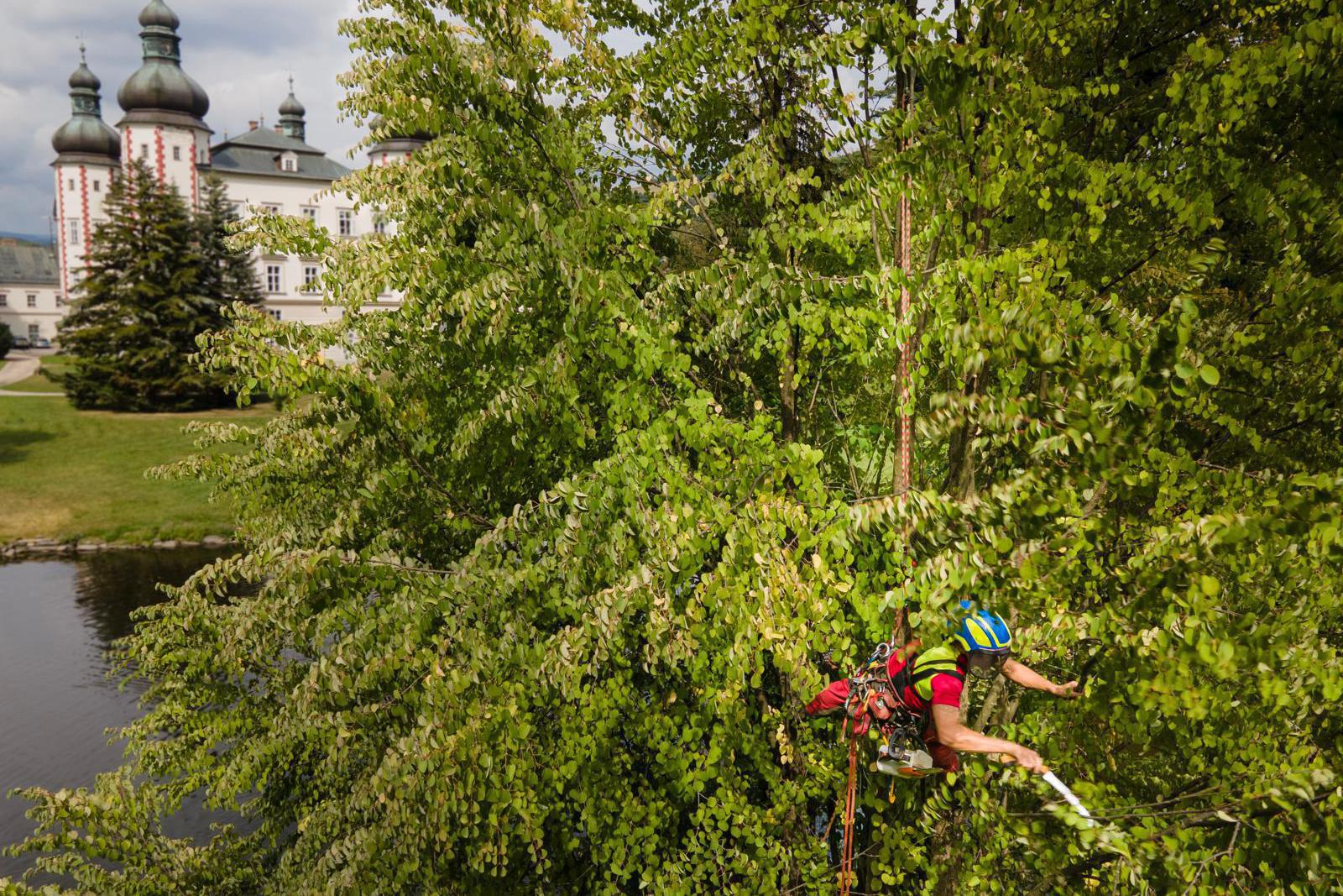 Arboristika- řez a kácení stromů Miroslav Sameš