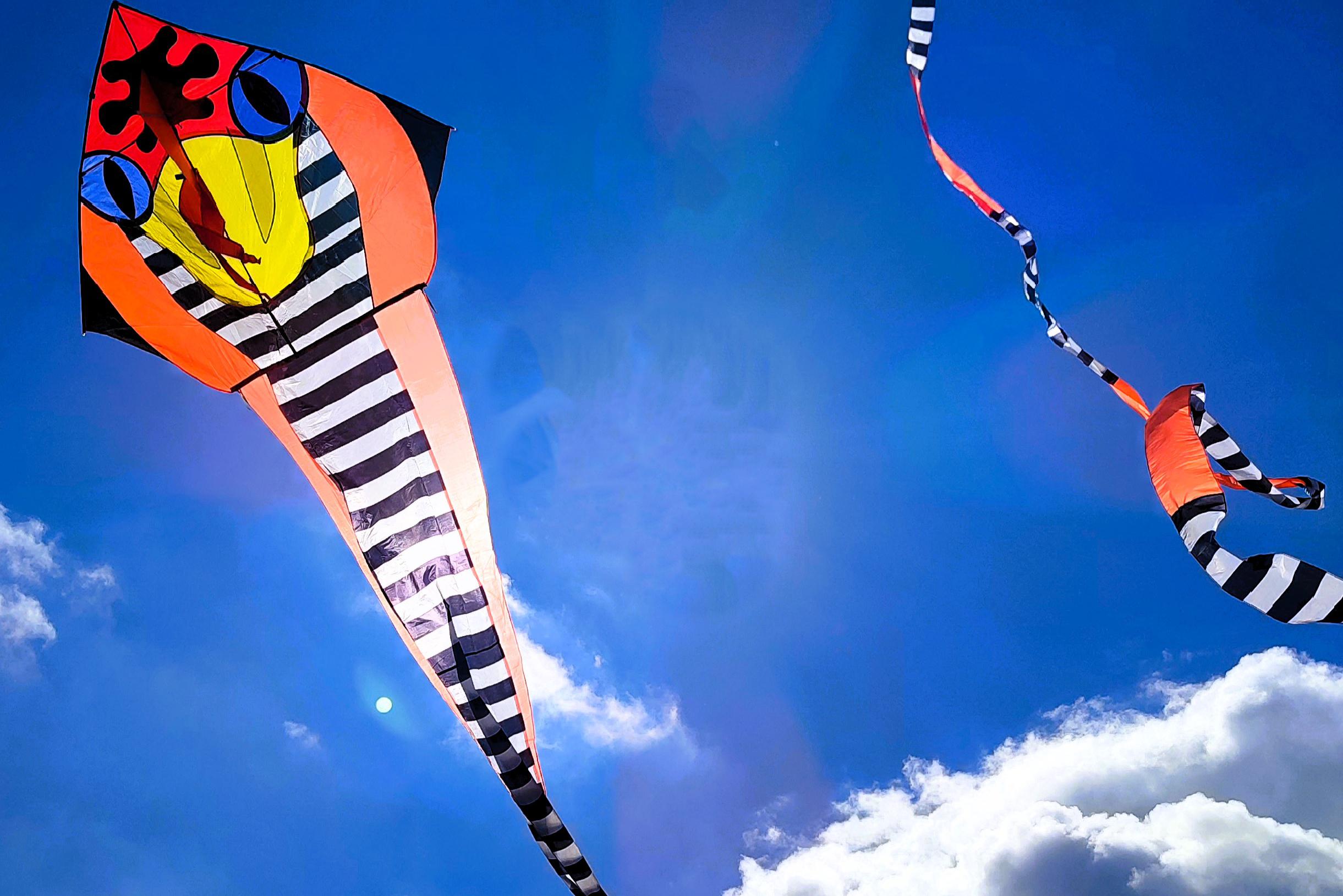 Létající draci T.O.M