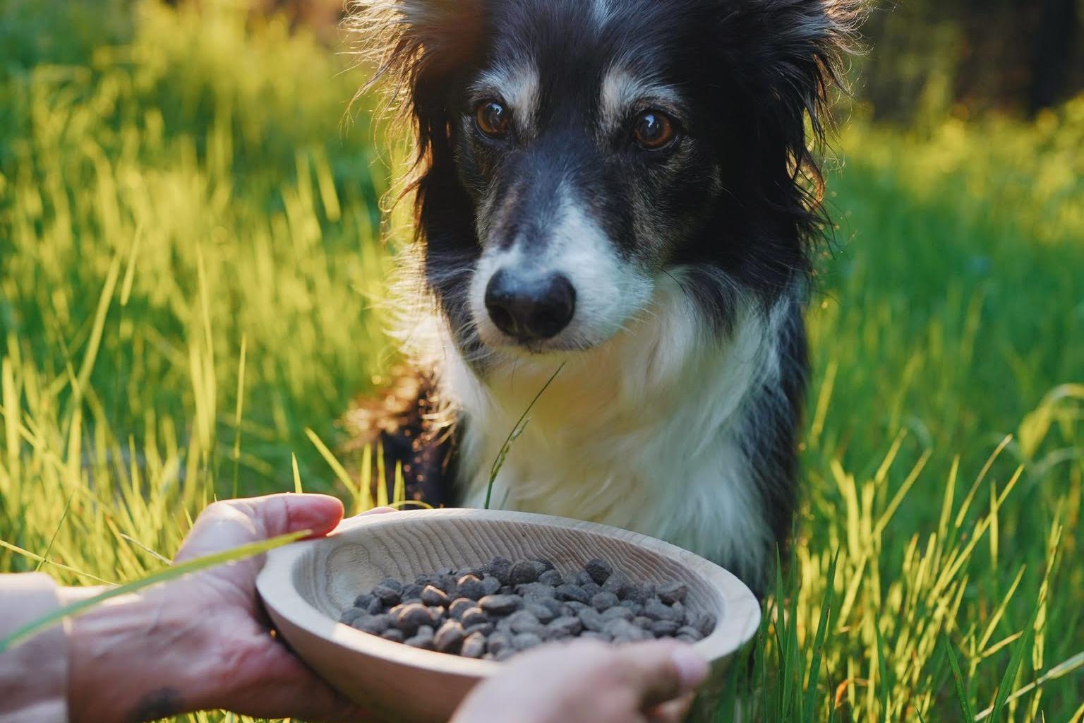 Granule, kterým rozumíte