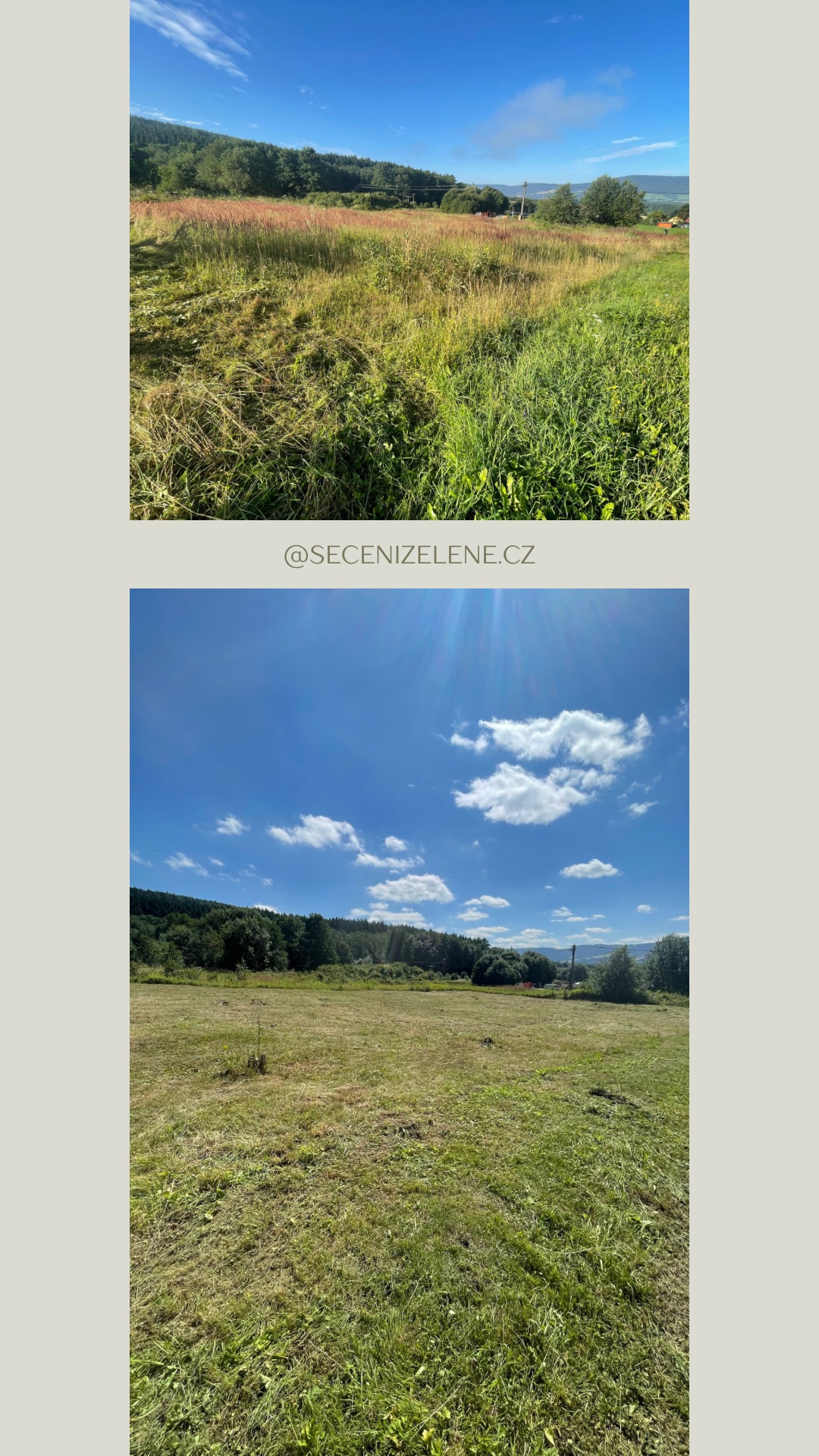 Ladislav Žejdlík - SEČENÍZELENĚ.cz foto 6