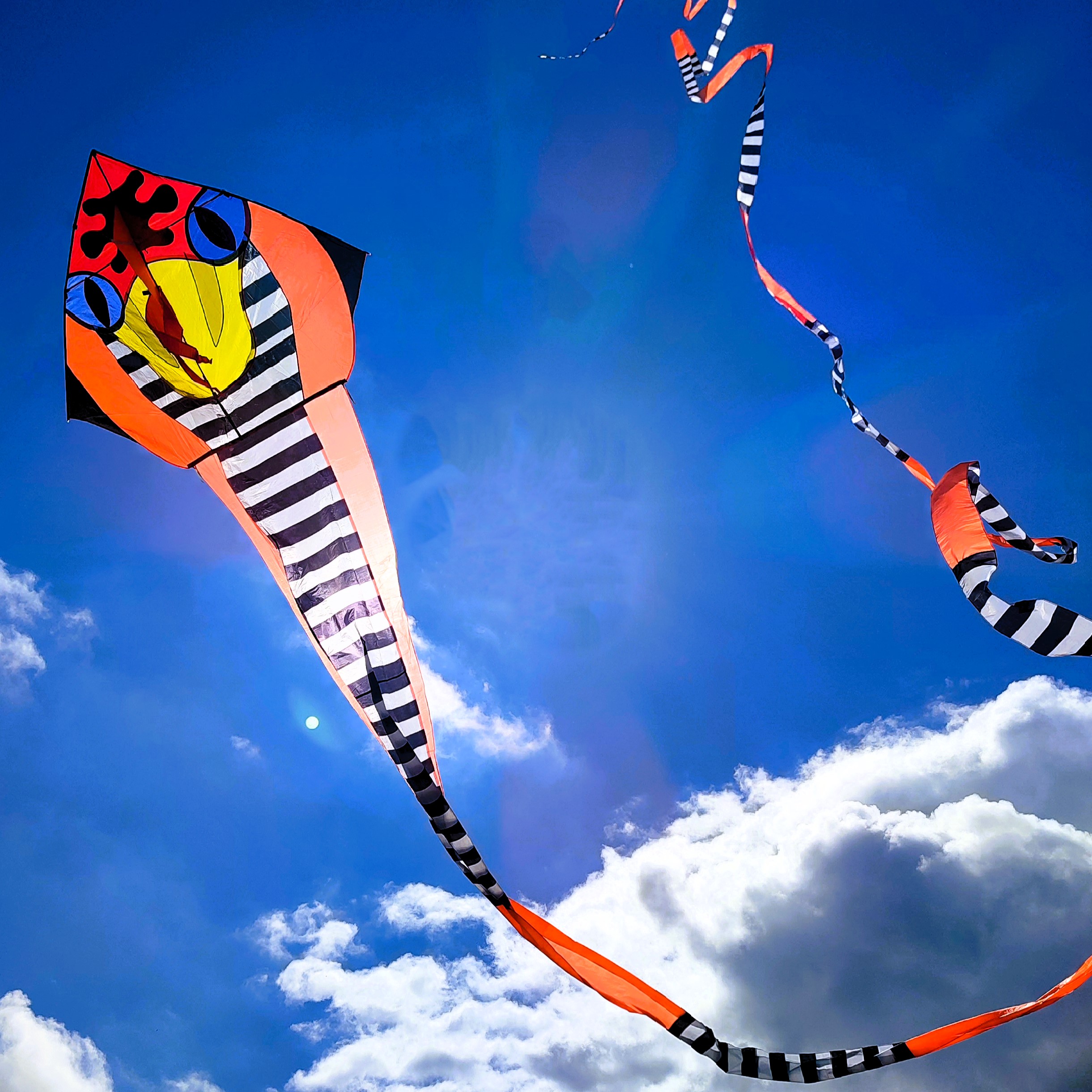 Létající draci T.O.M foto 4