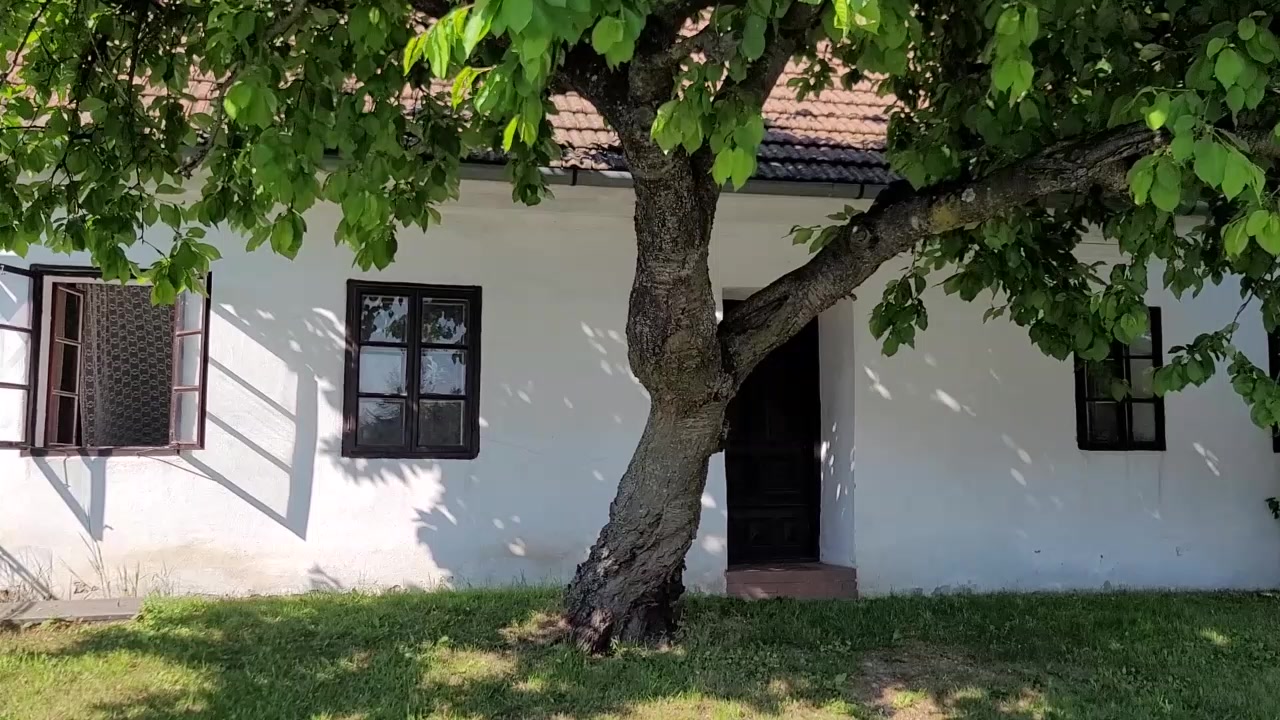 Ing. Petr Syrovátka foto 2 (náhled videa)