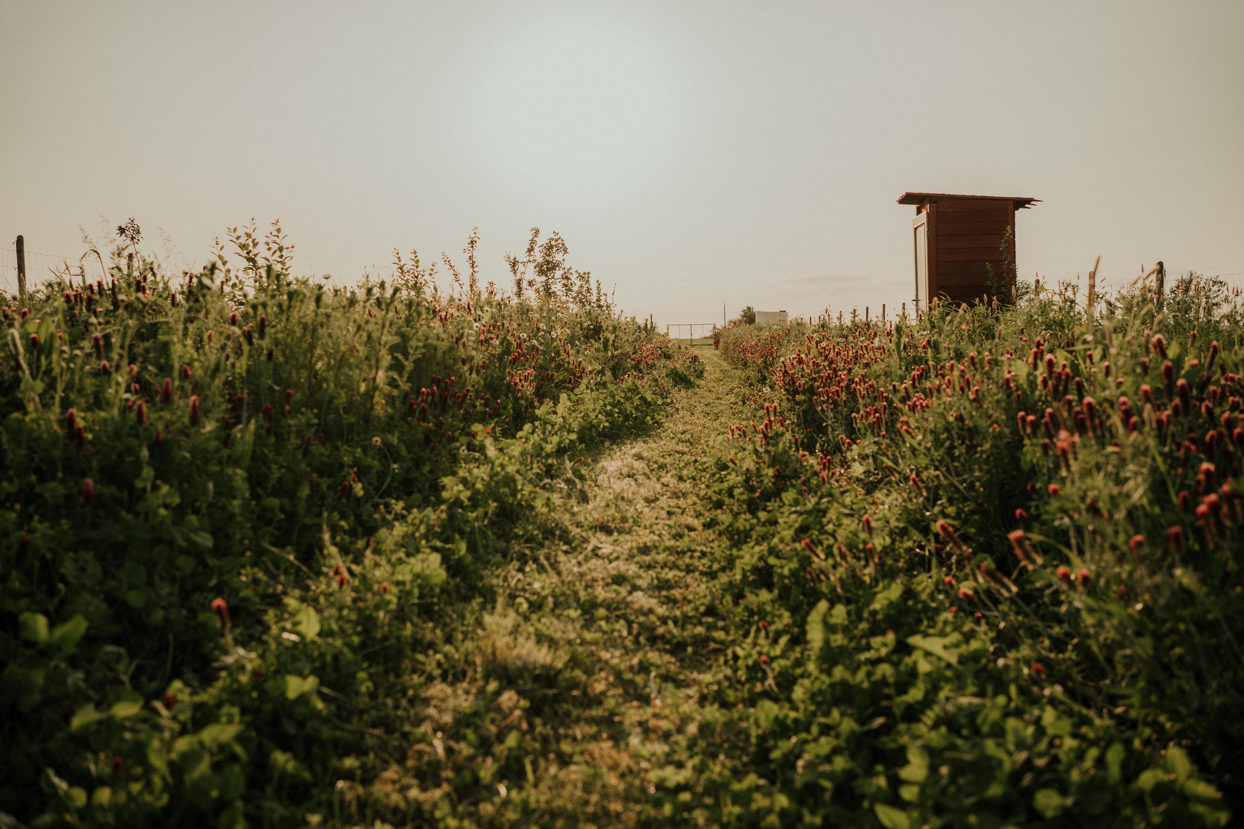 Altromutěnice, s.r.o.