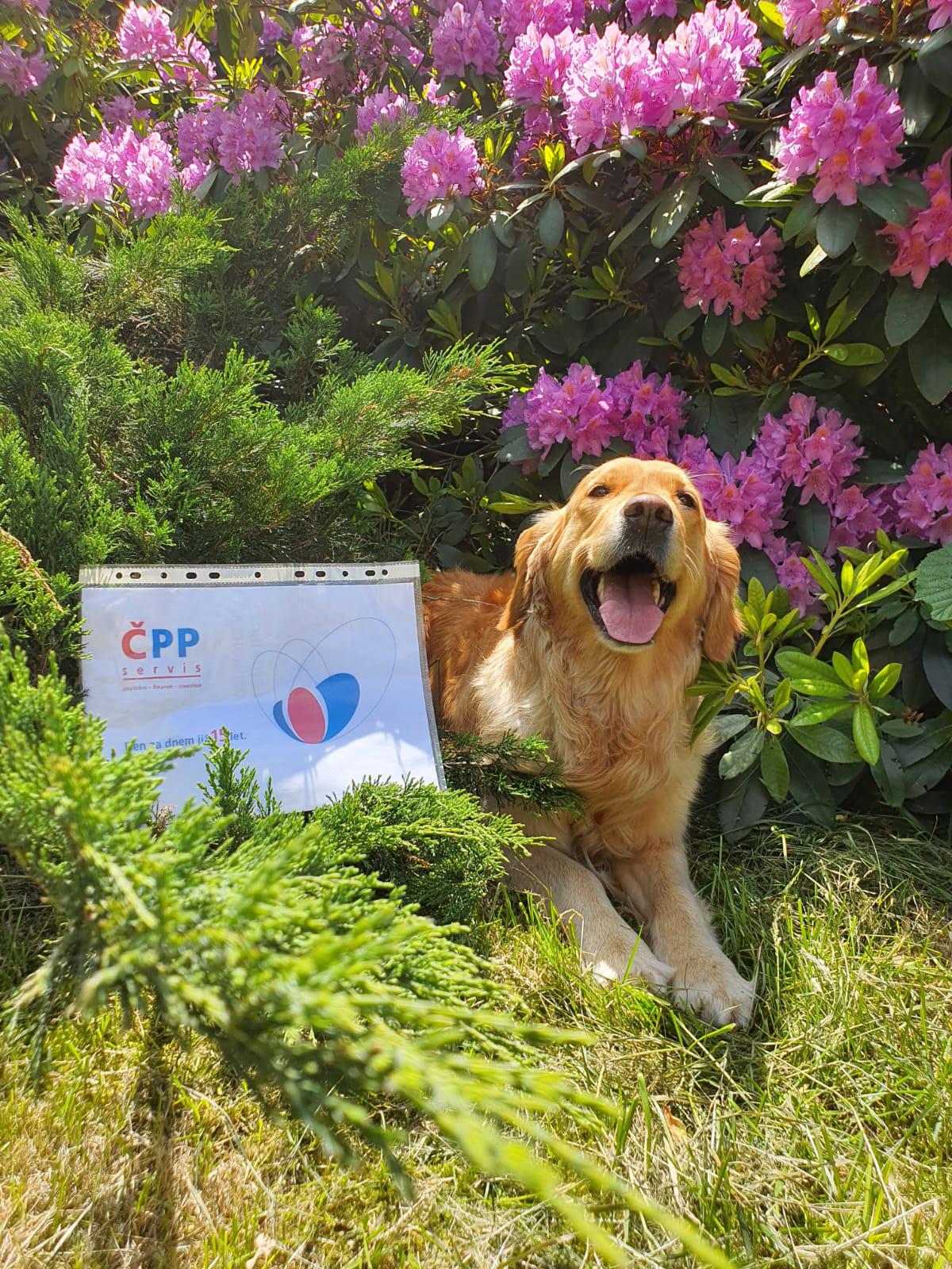 ČPP Servis, s.r.o. foto 3