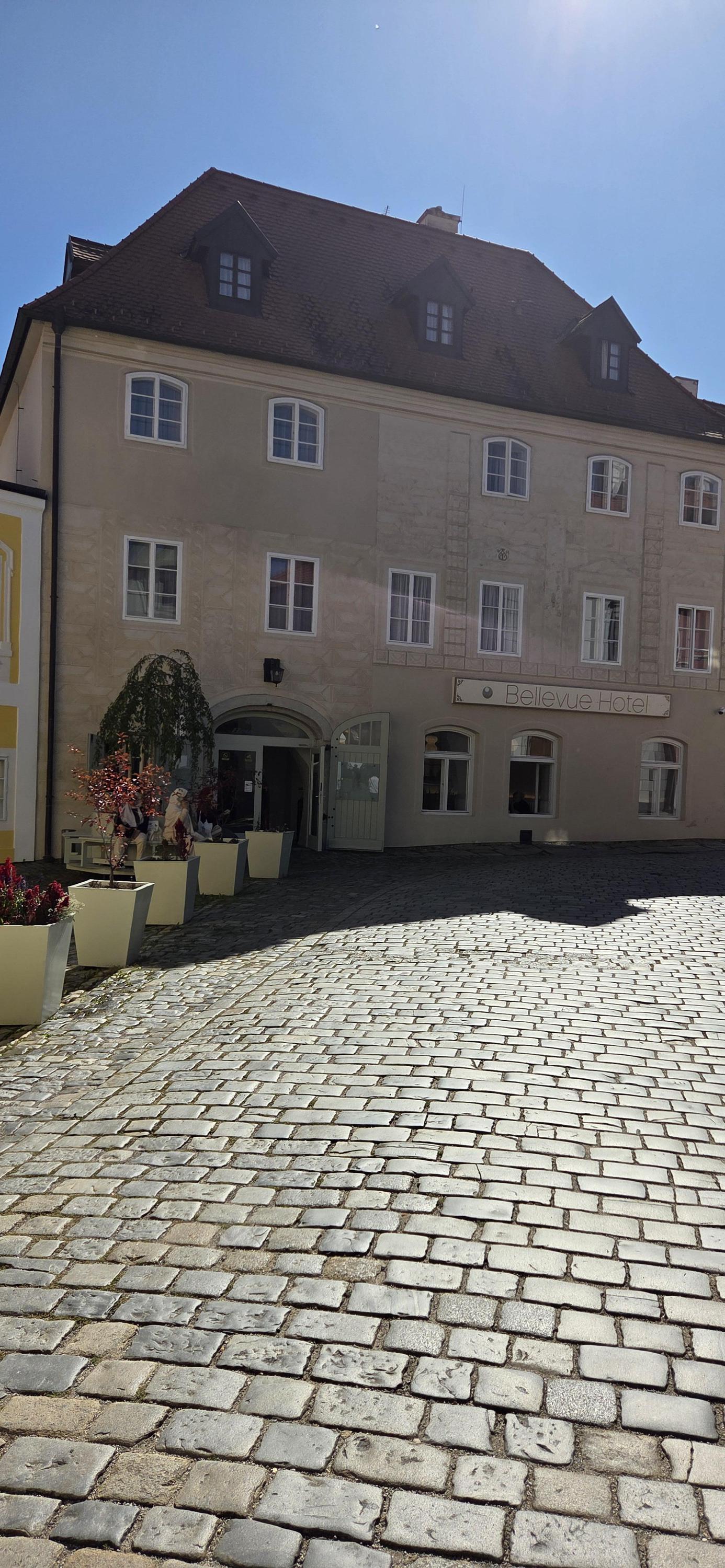Hotel Bellevue foto 2