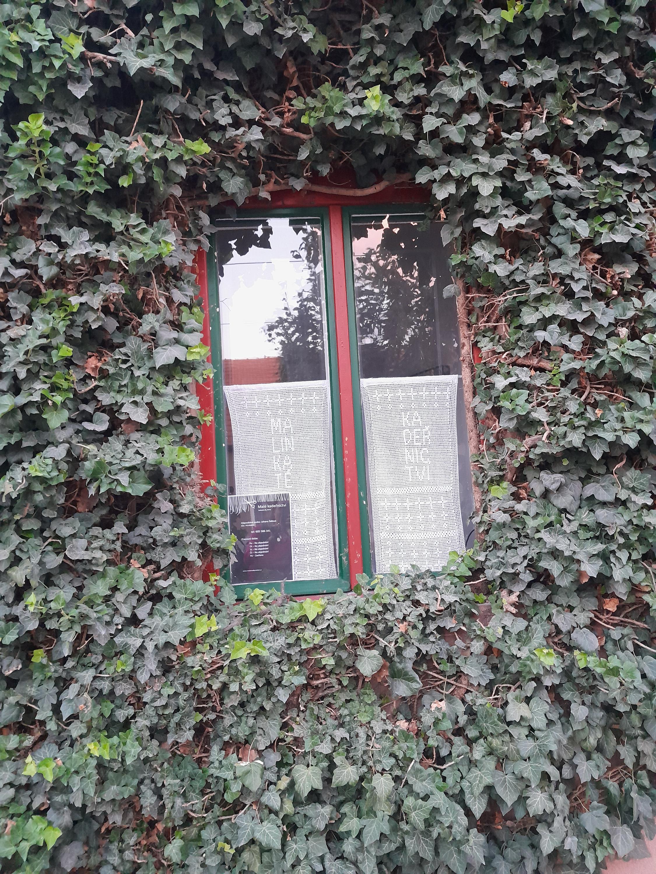 Malé kadeřnictví foto 4