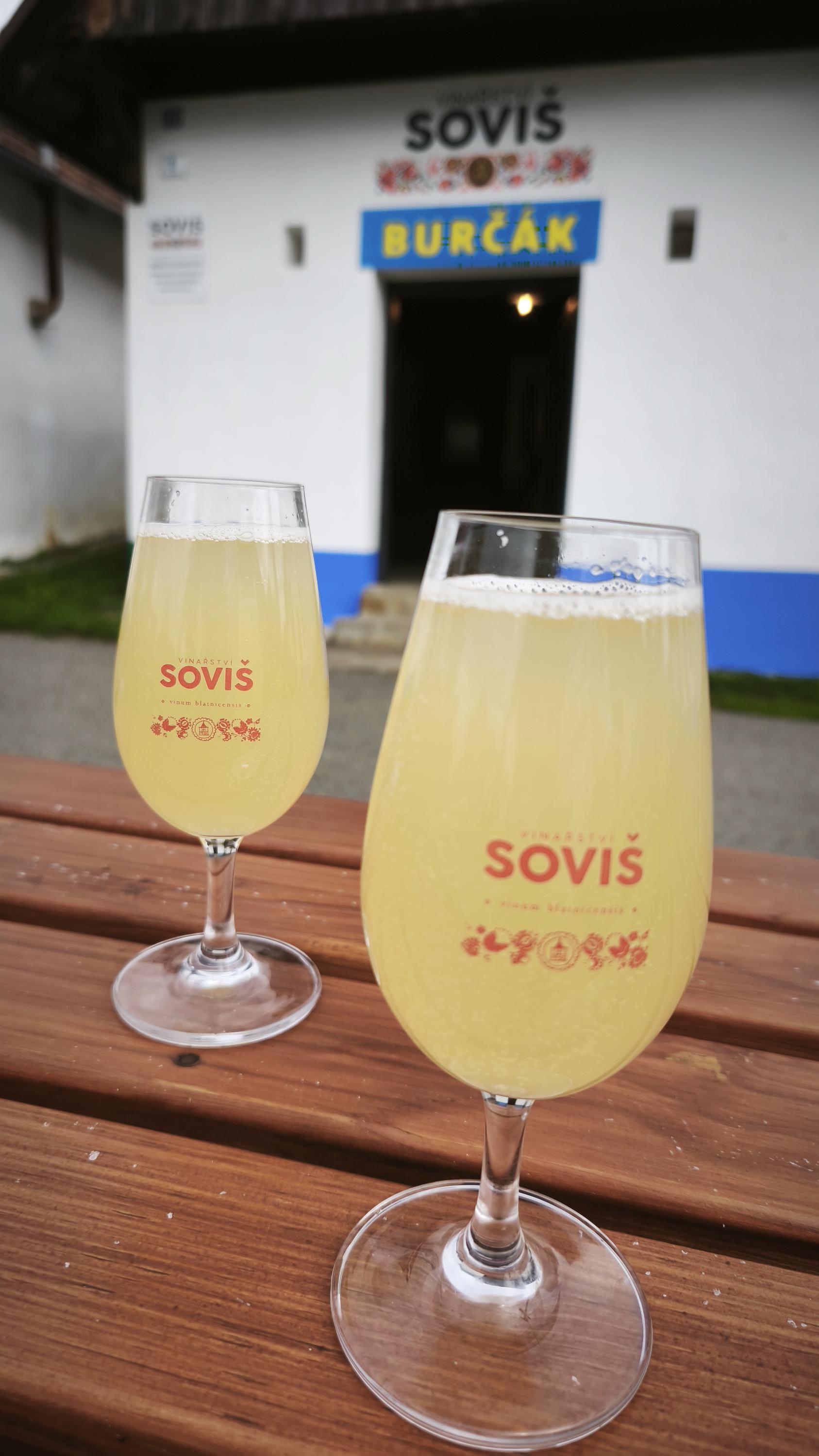 VINAŘSTVÍ SOVIŠ foto 5