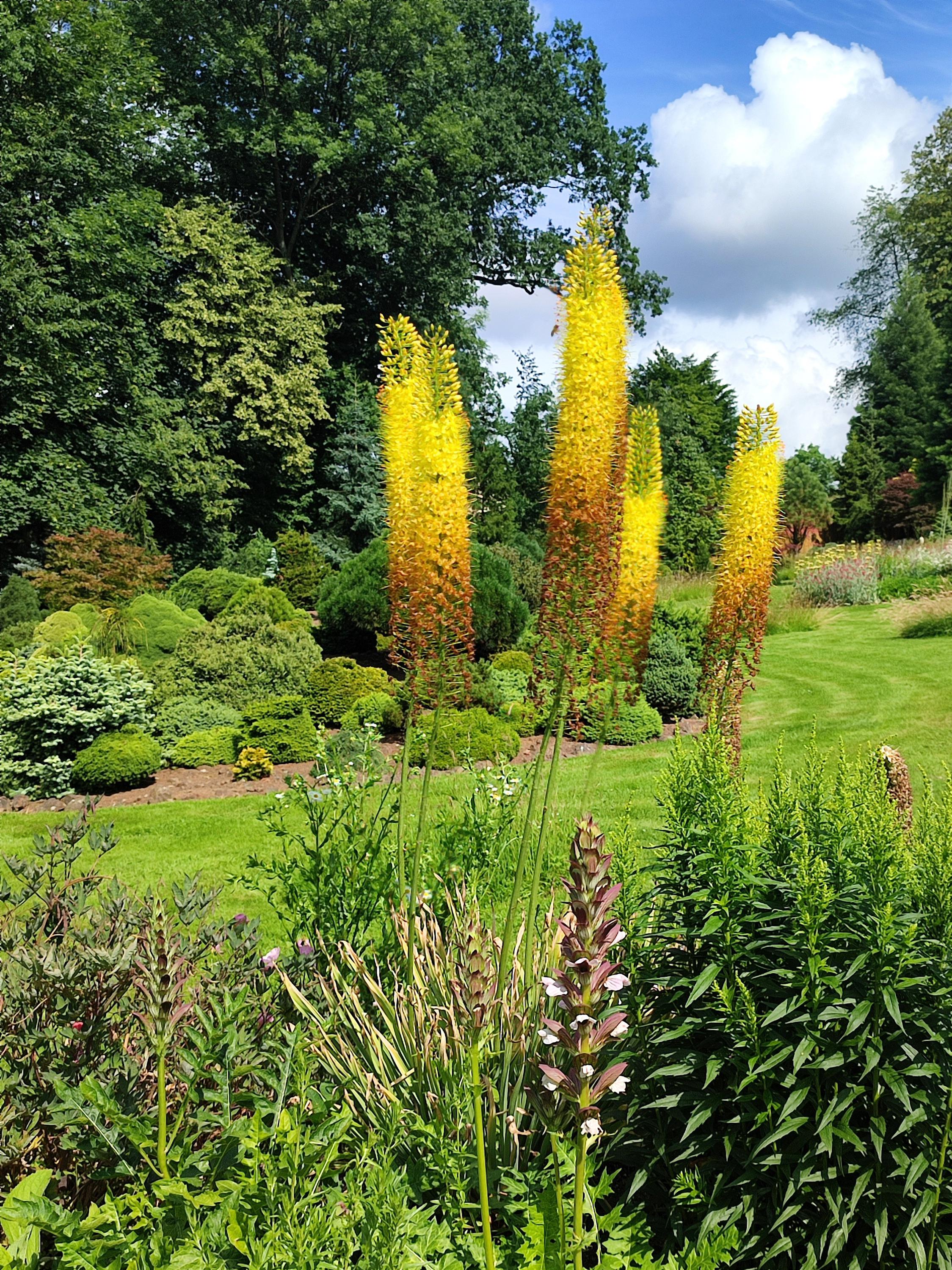 Miniarboretum foto 2