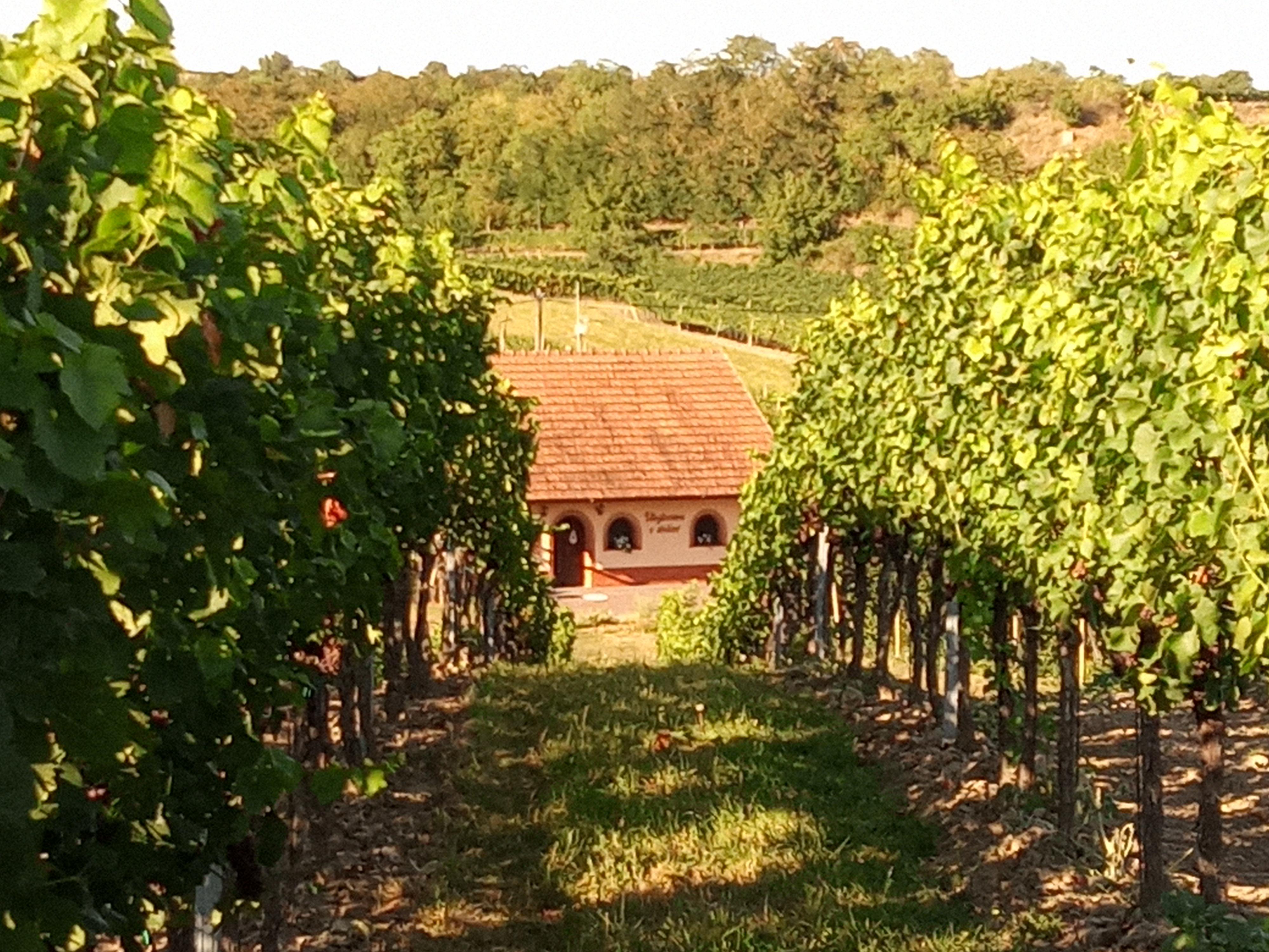 Ubytování v dolině foto 4