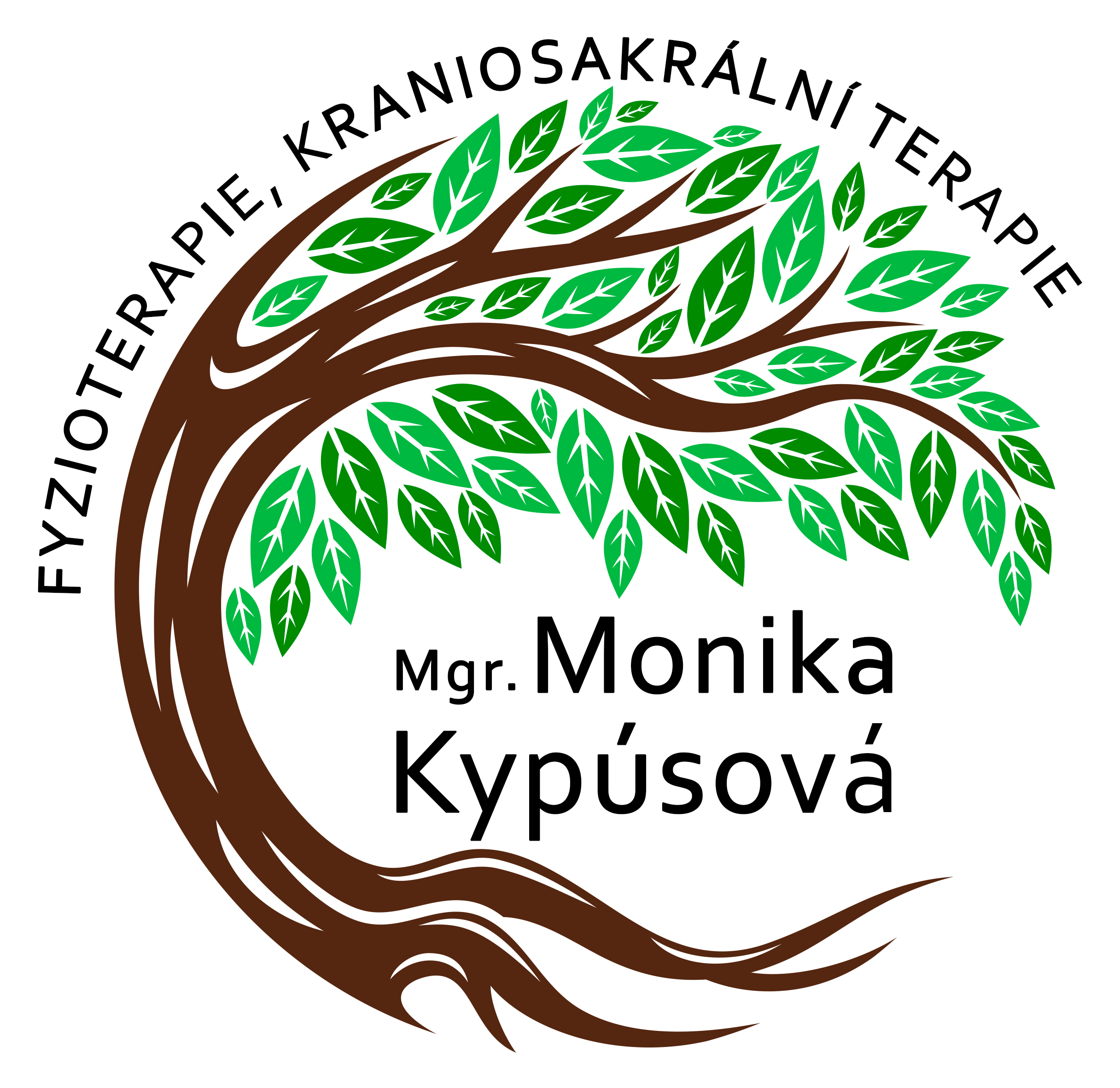 Mgr. Monika Kypúsová – Fyzioterapie foto 3