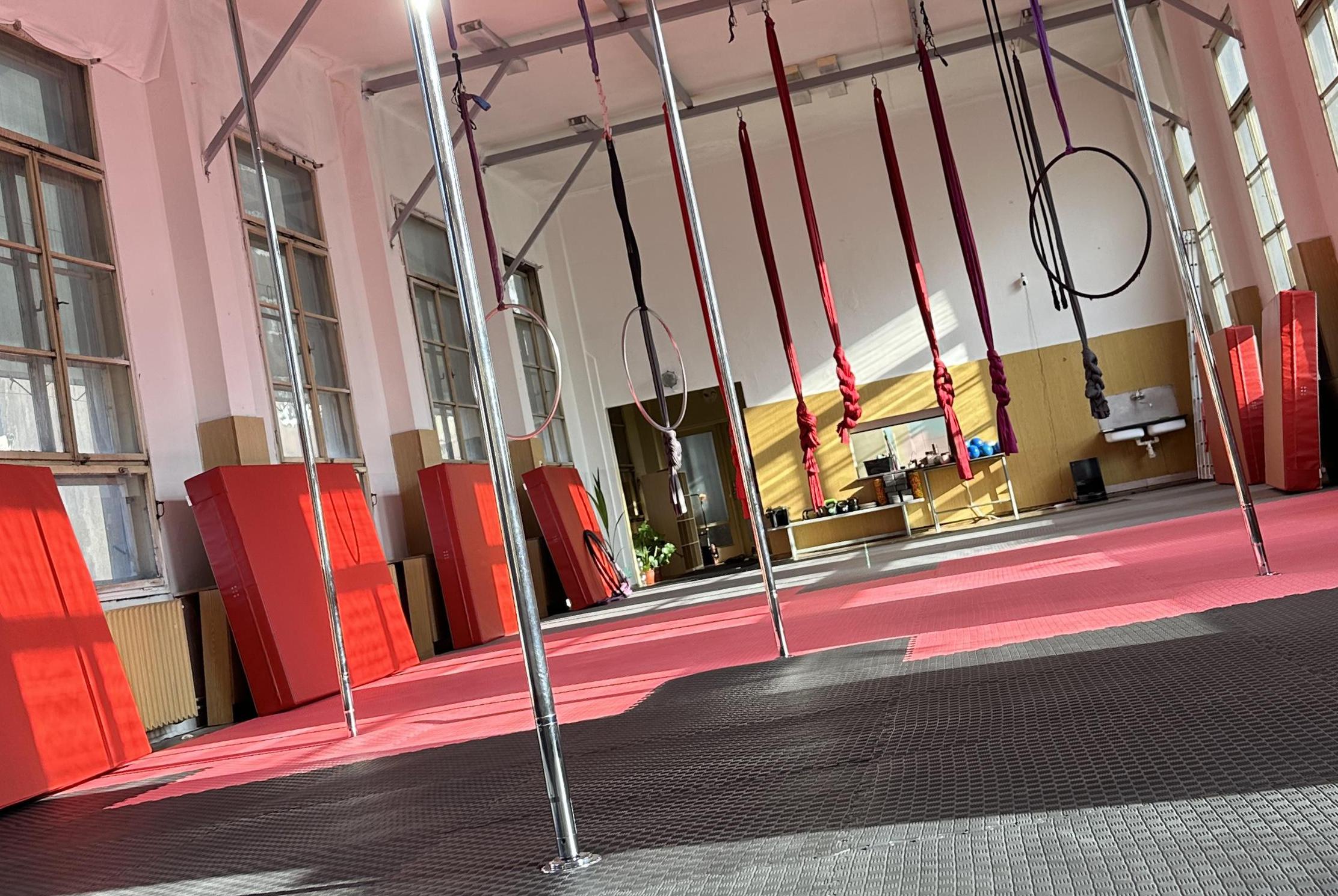 Polpole acrobatic studio