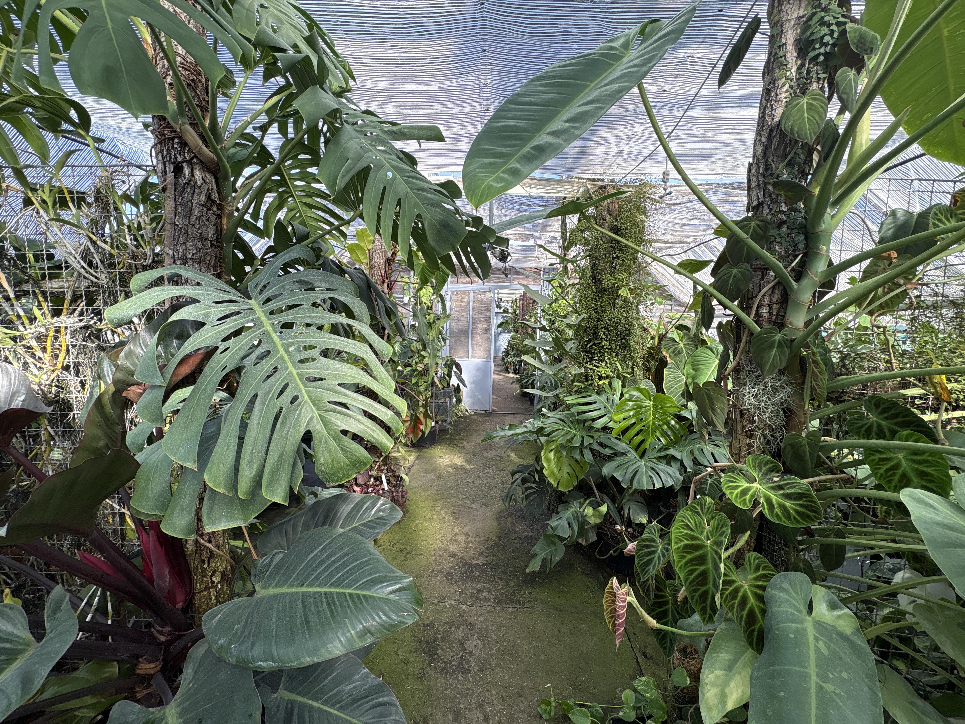 Výukové skleníky FAPPZ foto 5