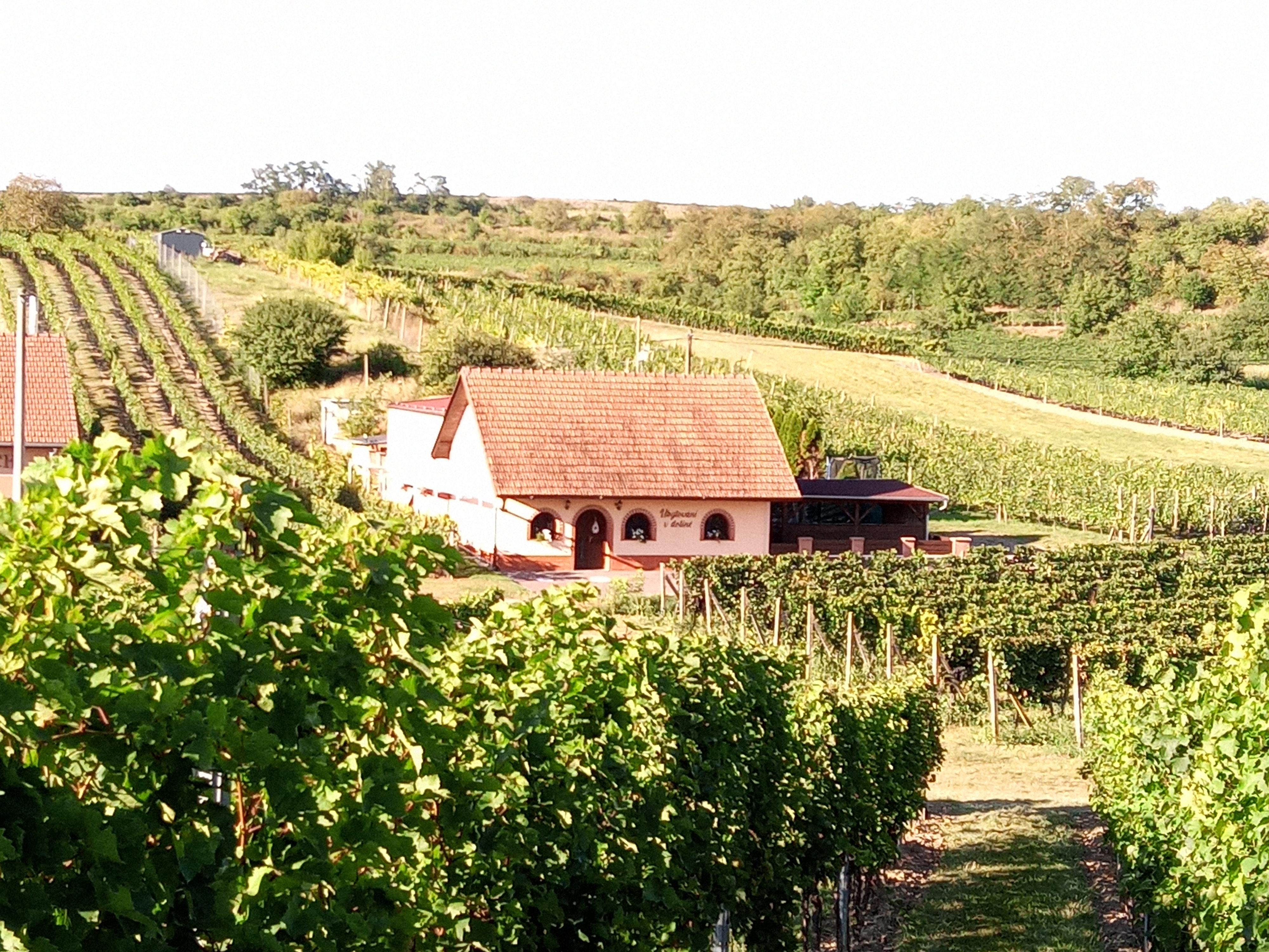 Ubytování v dolině foto 1