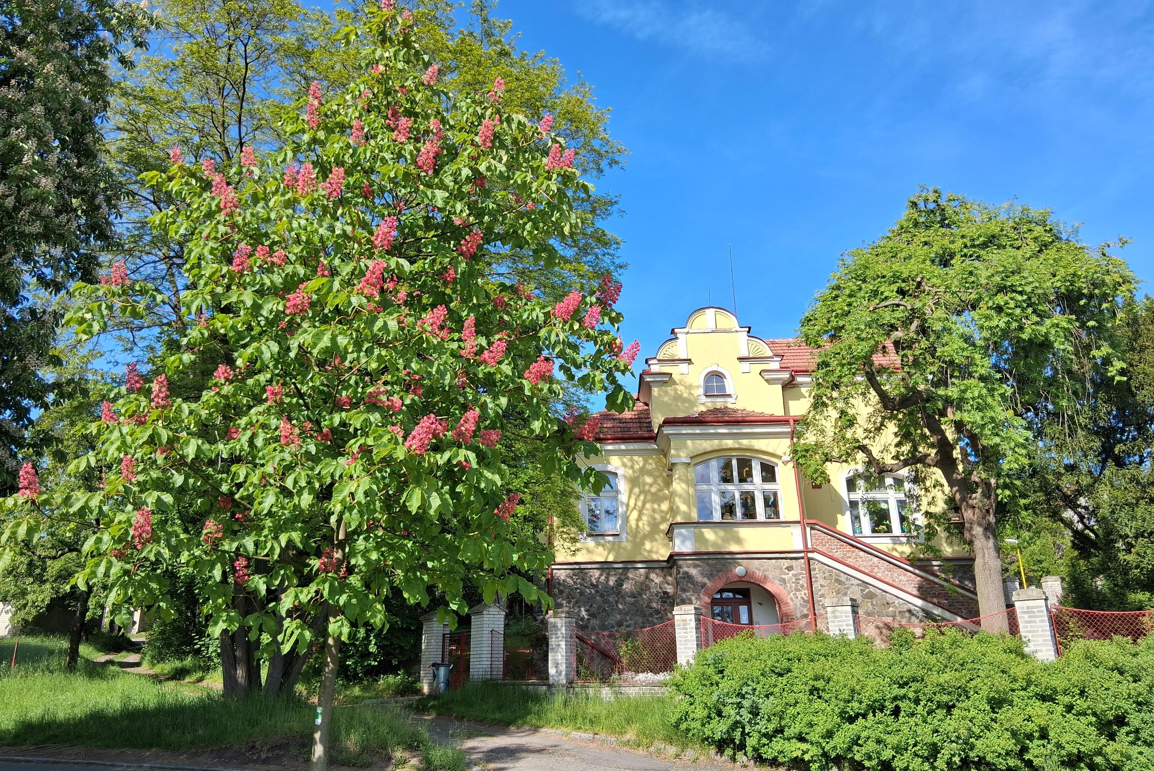 Mateřská škola Rybička Příbram