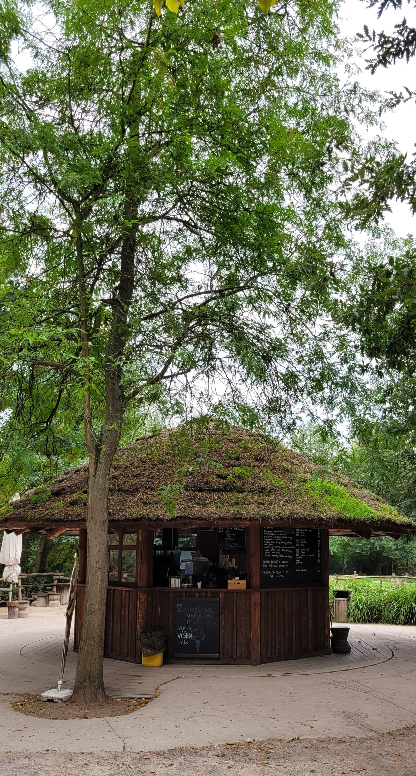 Občerstvení U Gibona foto 3