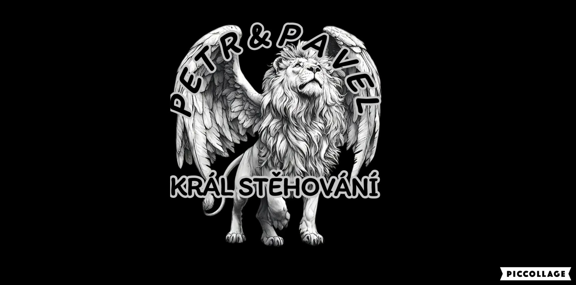 STĚHOVÁNÍ - AUTODOPRAVA PETR & PAVEL foto 2