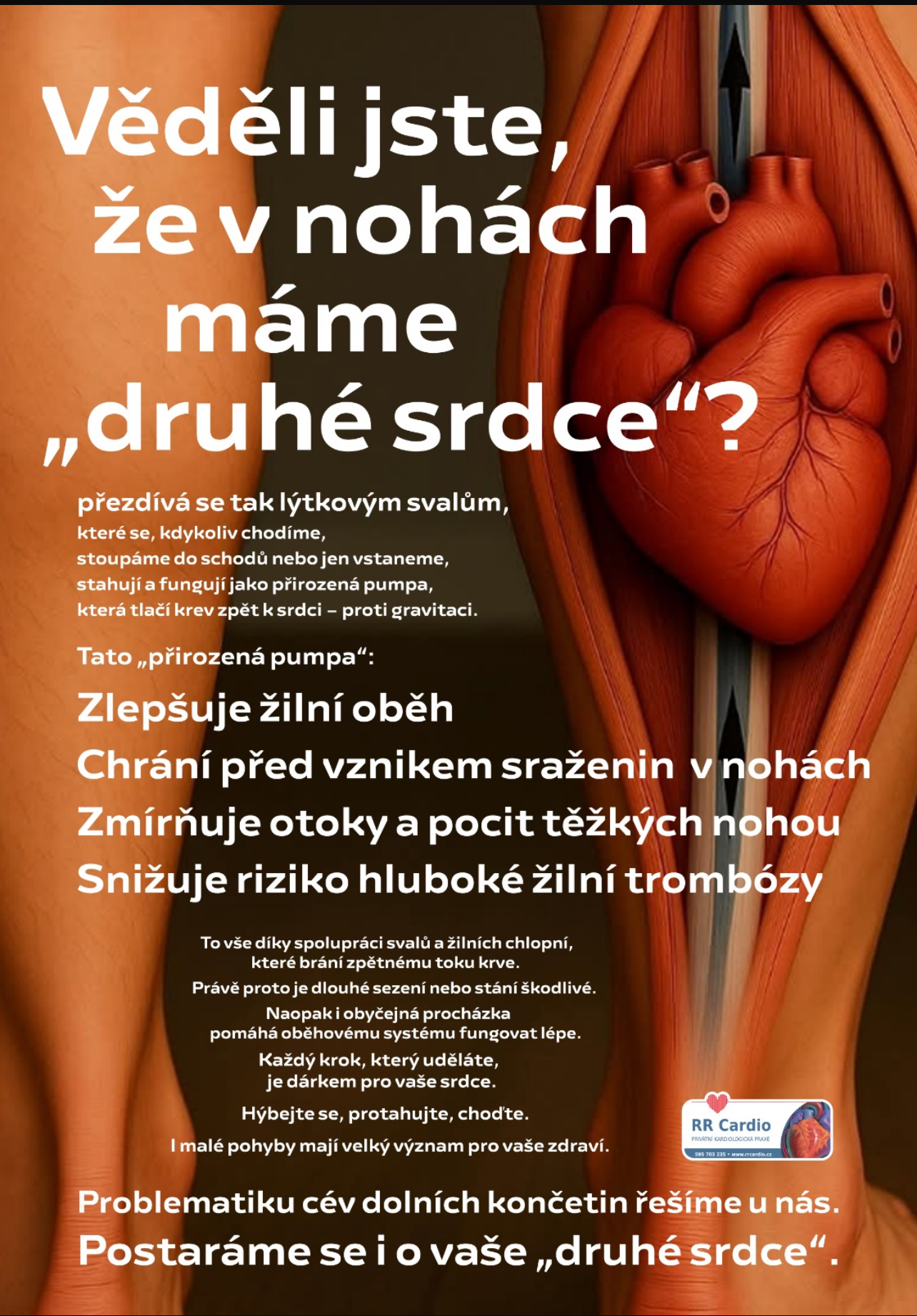 Kardiologická a cévní ambulance MUDr. Renata Radeva Ostrava foto 3