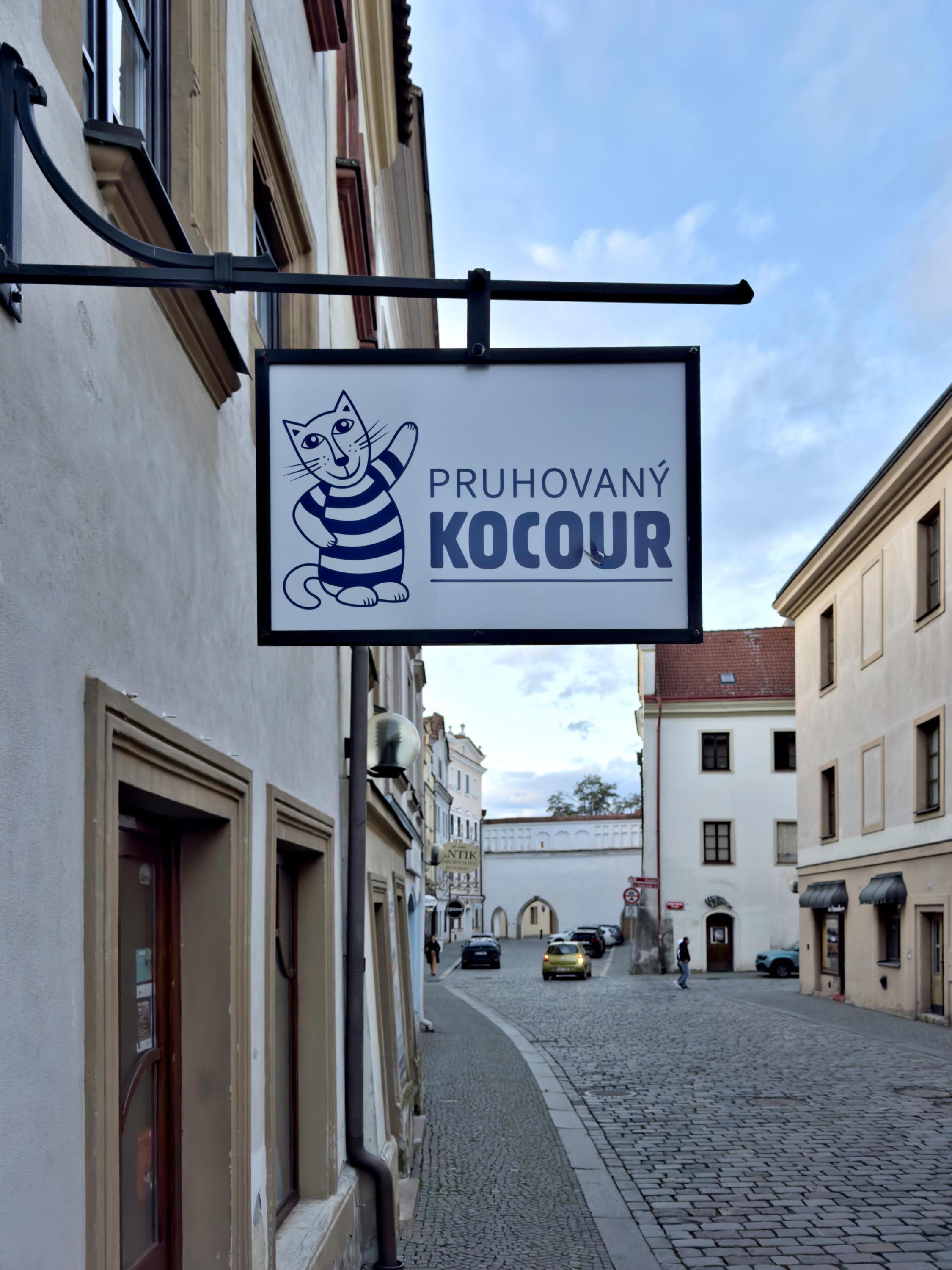 Pruhovaný kocour foto 2