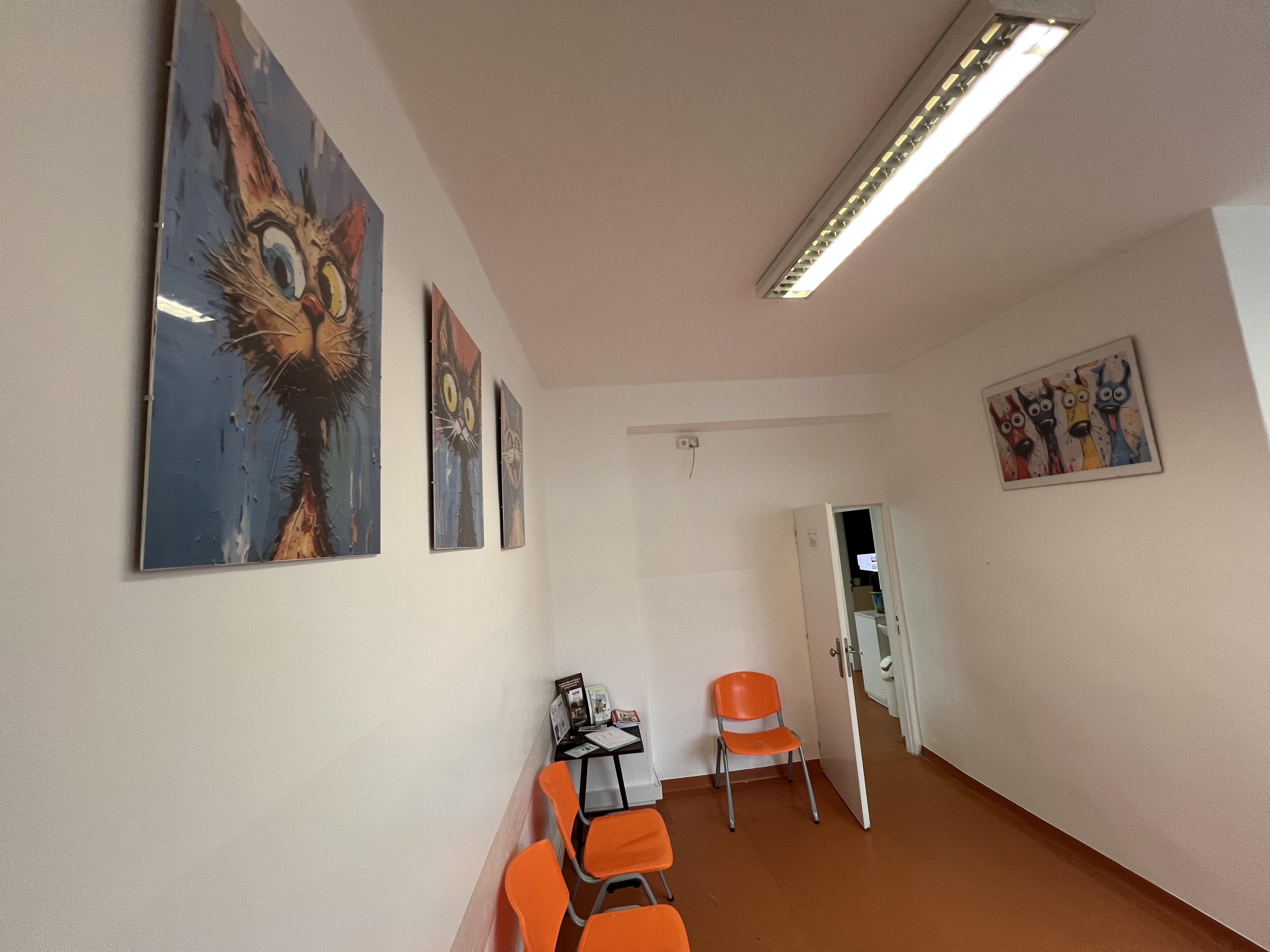 Veterina-horky.cz foto 6