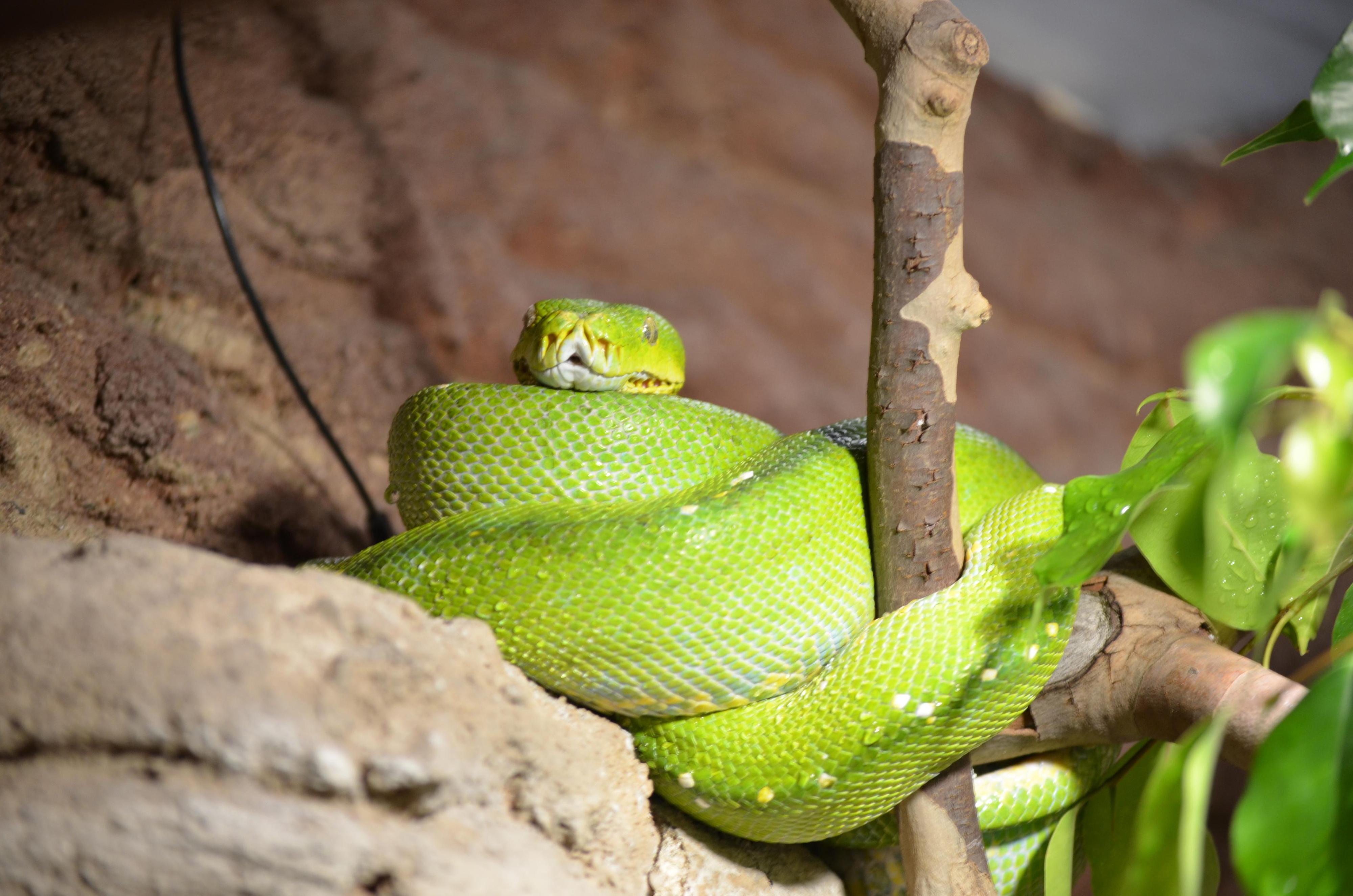 Zoologická zahrada Ústí nad Labem foto 3
