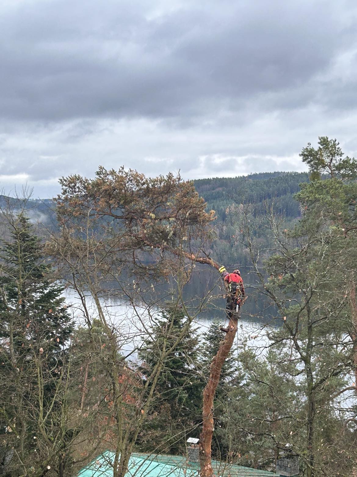 Rizikové kácení - Kryštof Feldstein foto 4