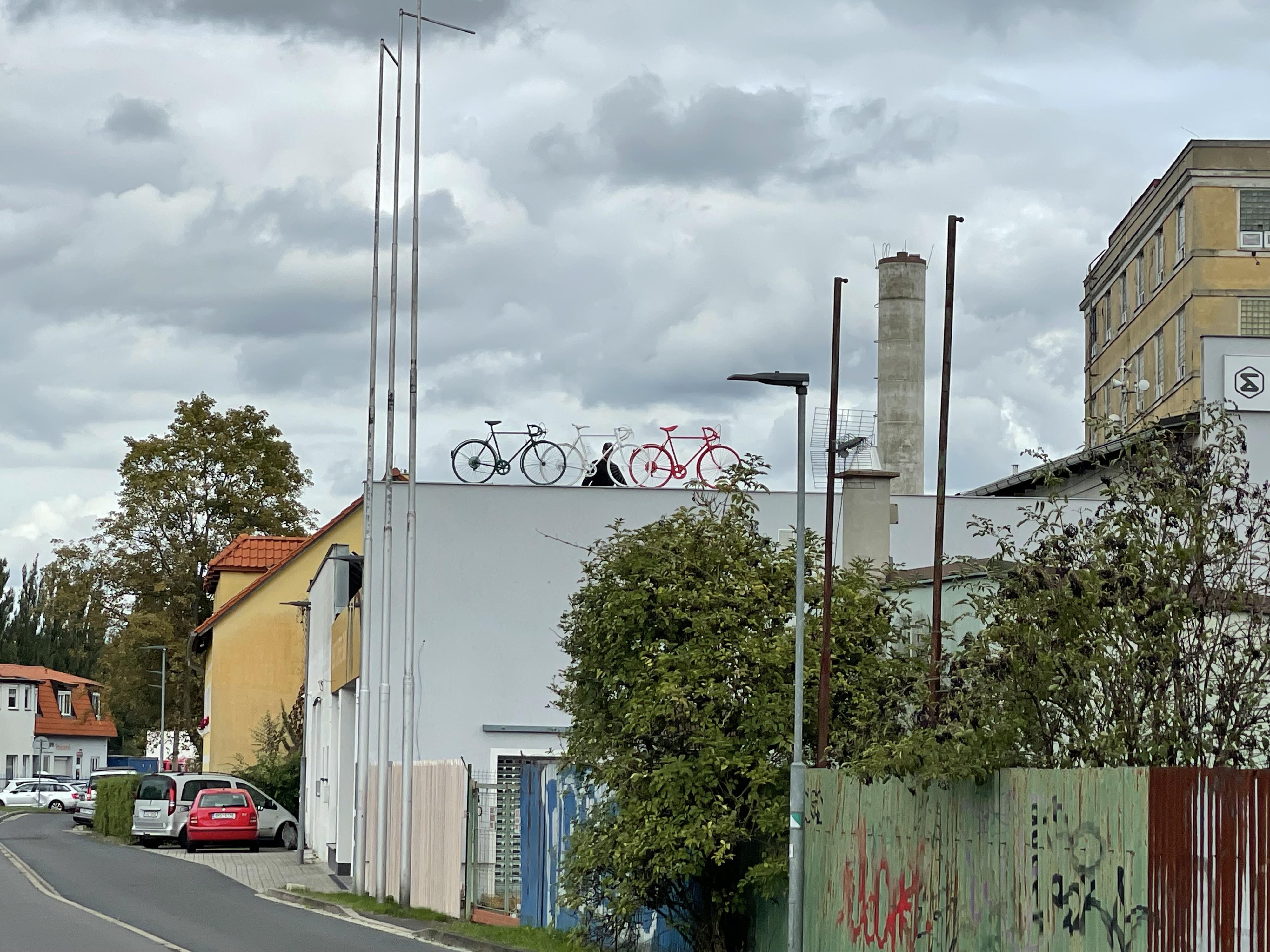 SYNONYM, s.r.o. foto 3
