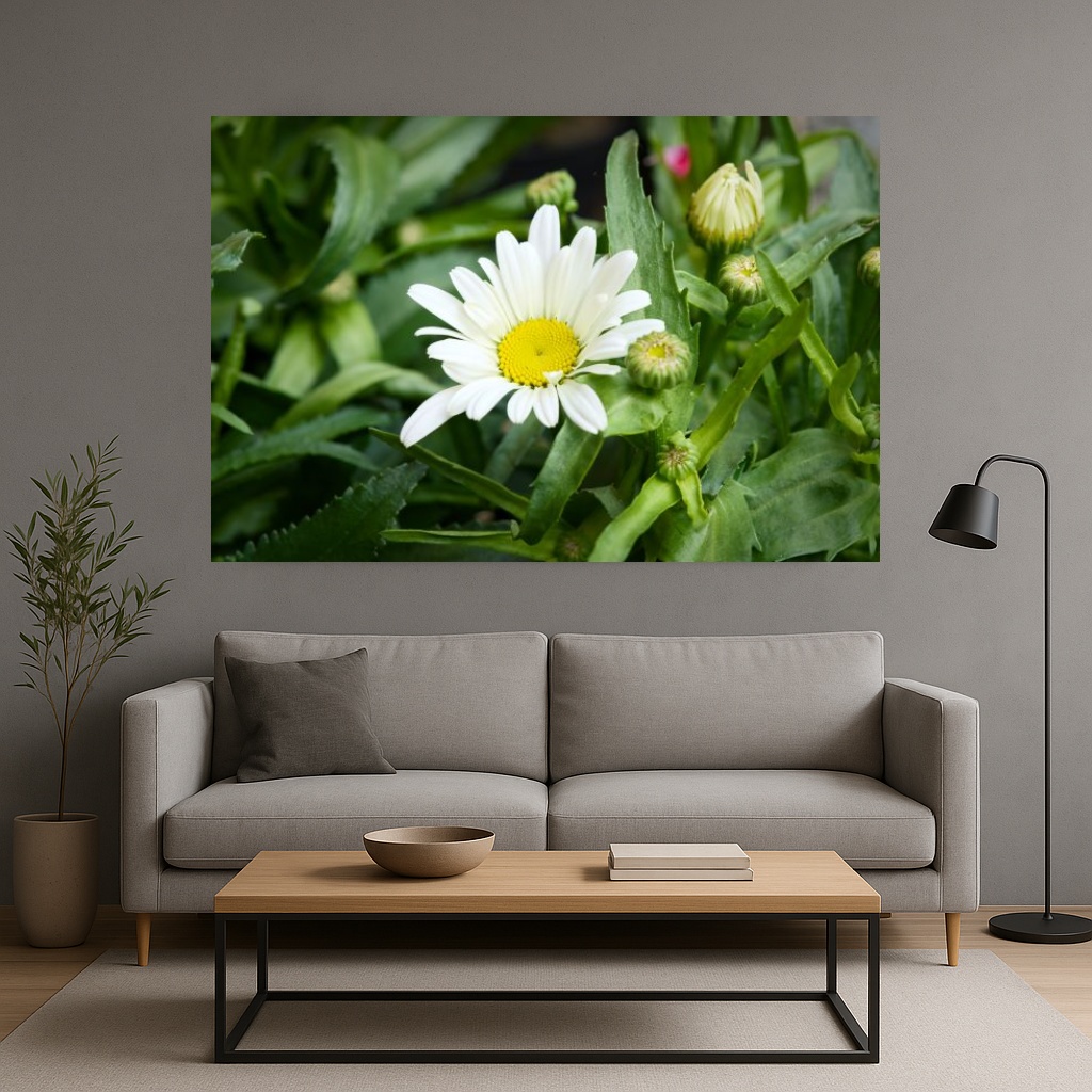 NatureFoto.cz - Vlastimil Bažanowski foto 2