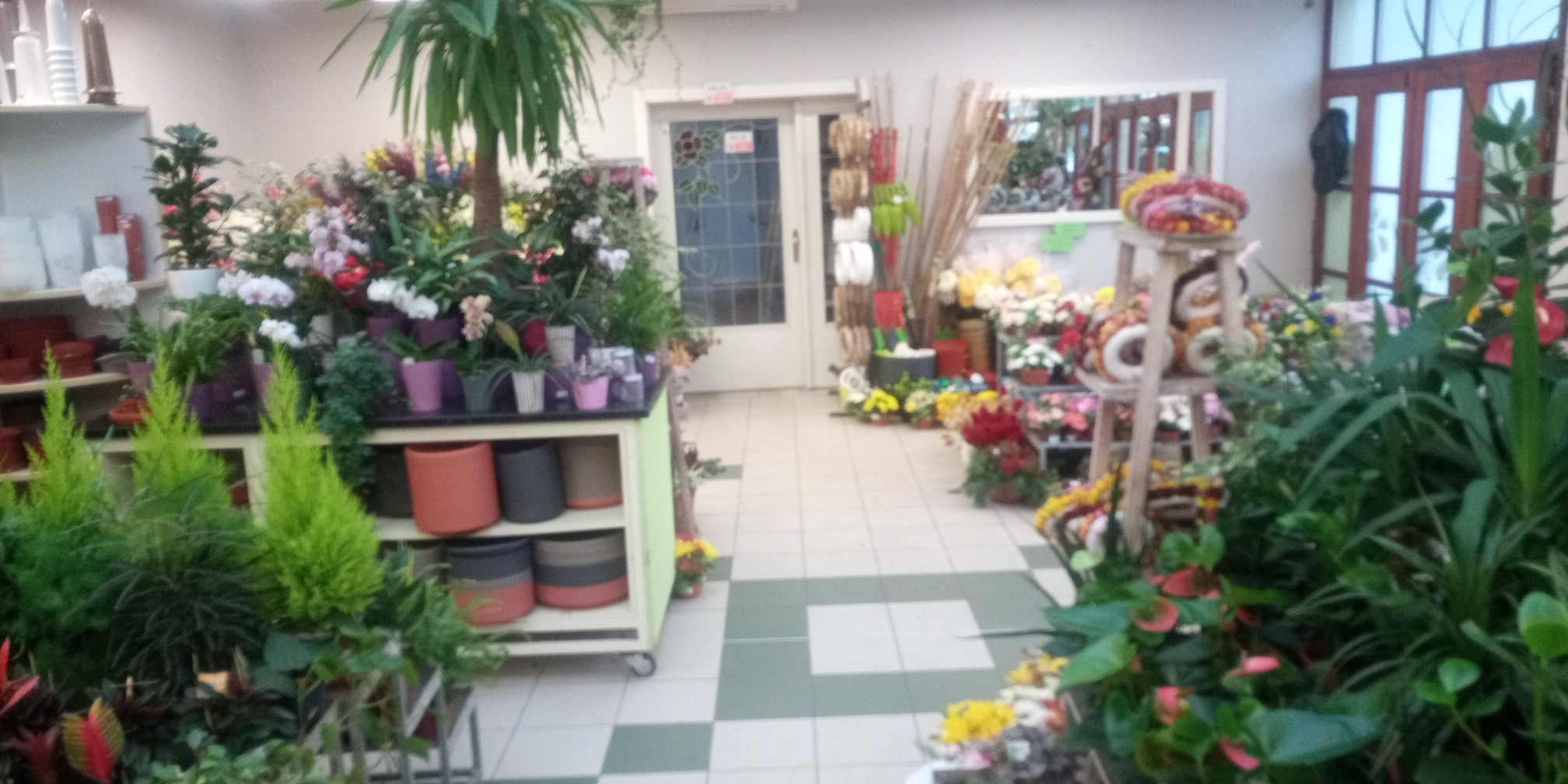 Daruj Květiny Olšany foto 2