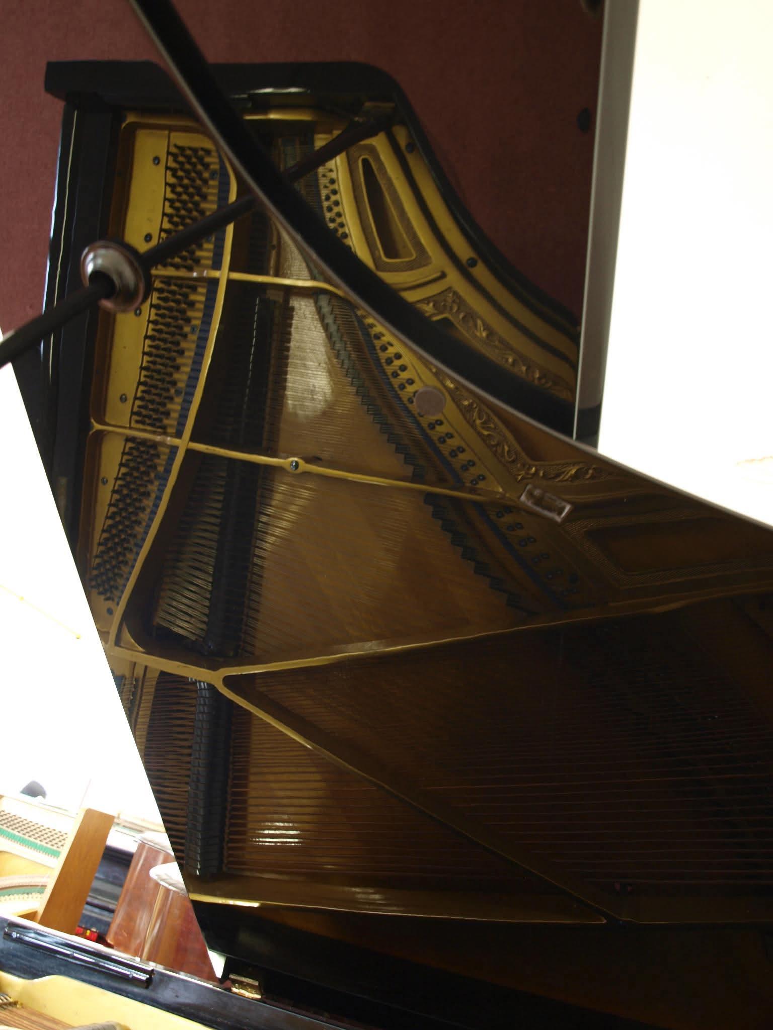 Bc. Josef Surovík-odborné ladeni a opravy pianin, klavírů a harmonií. foto 2