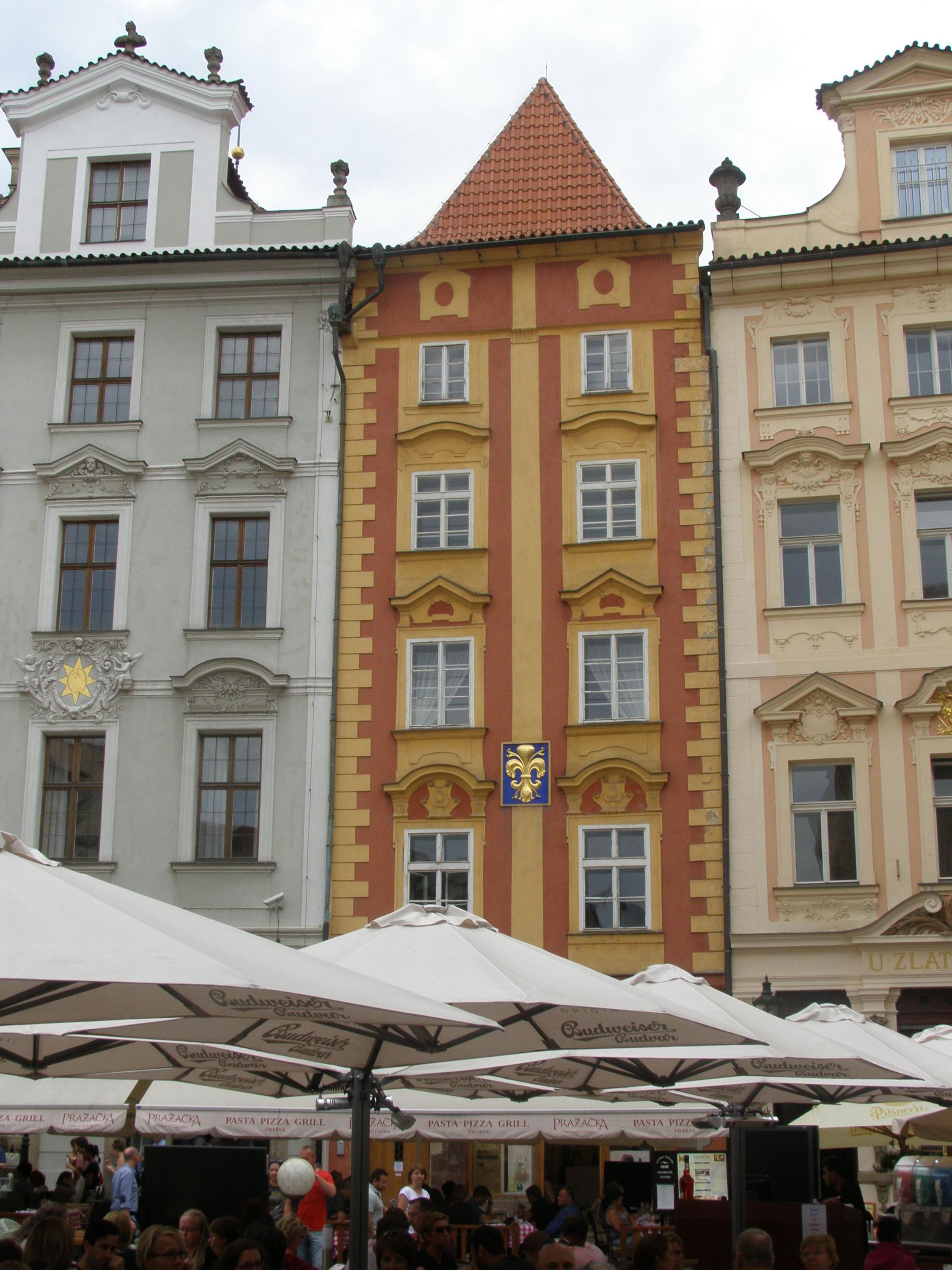Studujte.cz, o.p.s. foto 6