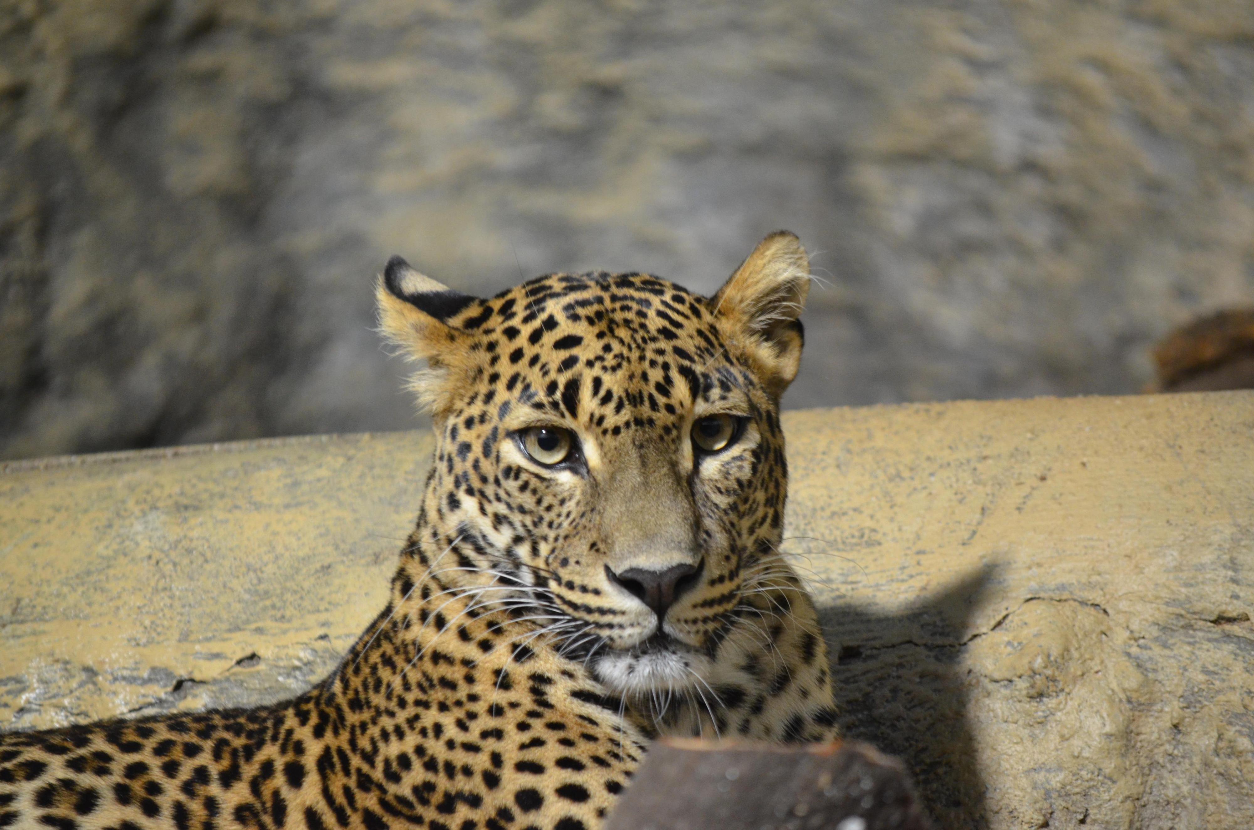 Zoologická zahrada Ústí nad Labem foto 4
