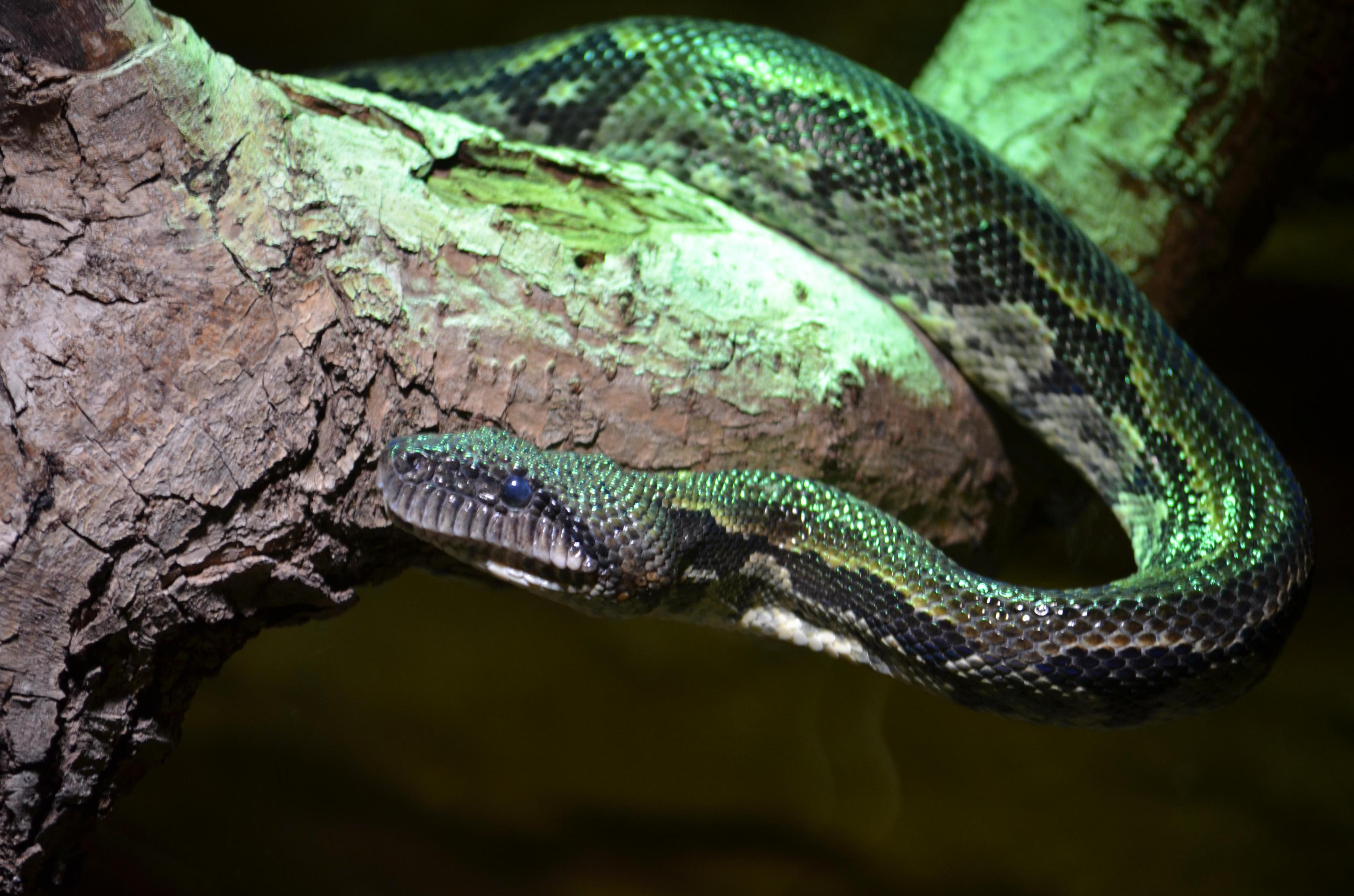 Zoologická zahrada Ústí nad Labem foto 6