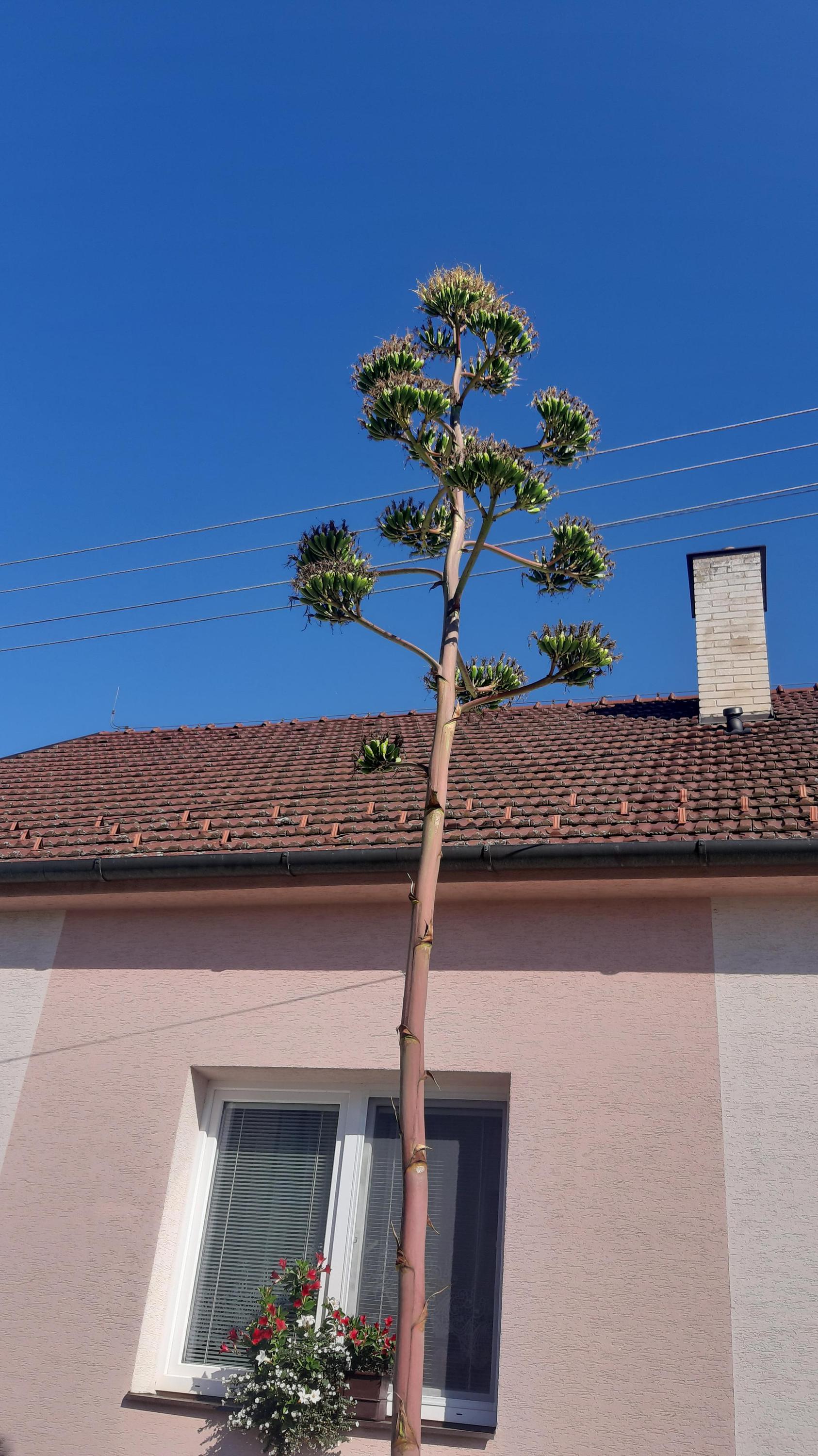 MŠ Kostelany nad Moravou foto 4