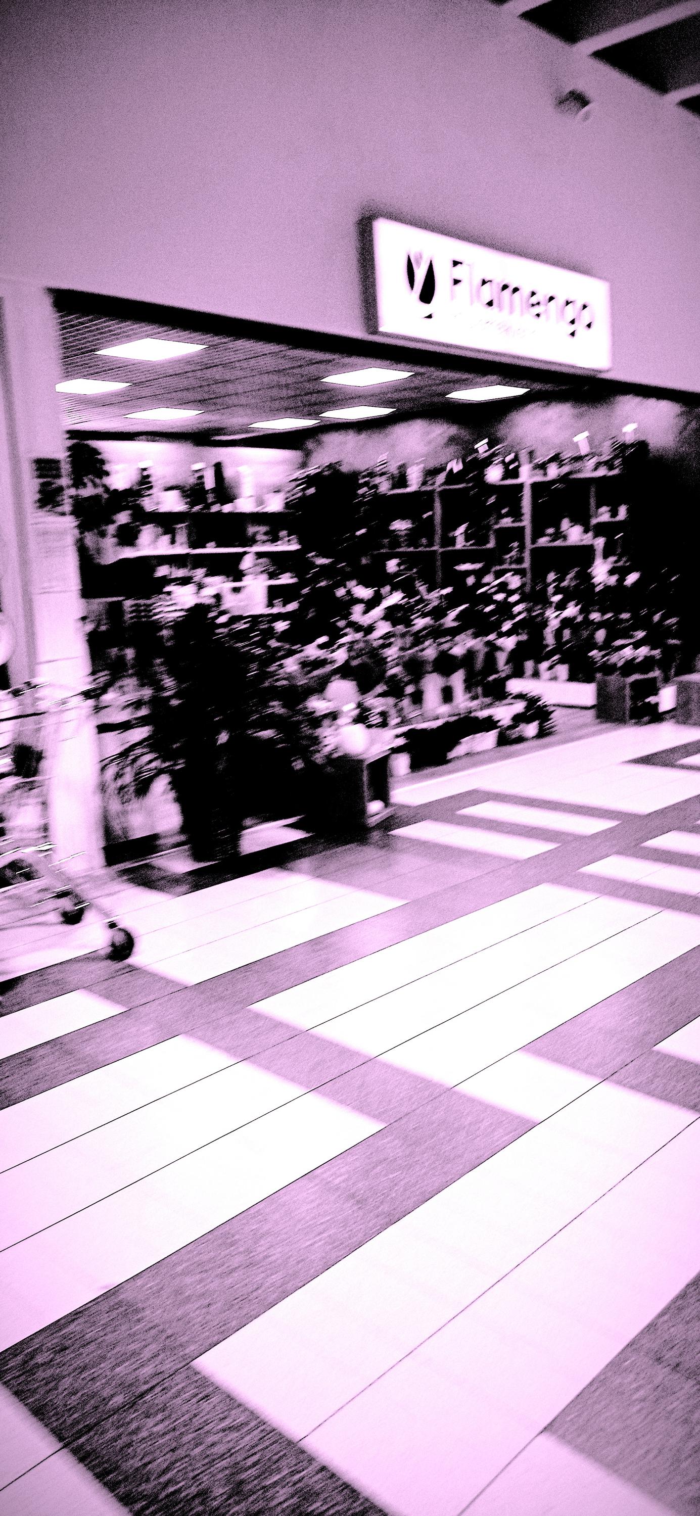 Flamengo květiny foto 2