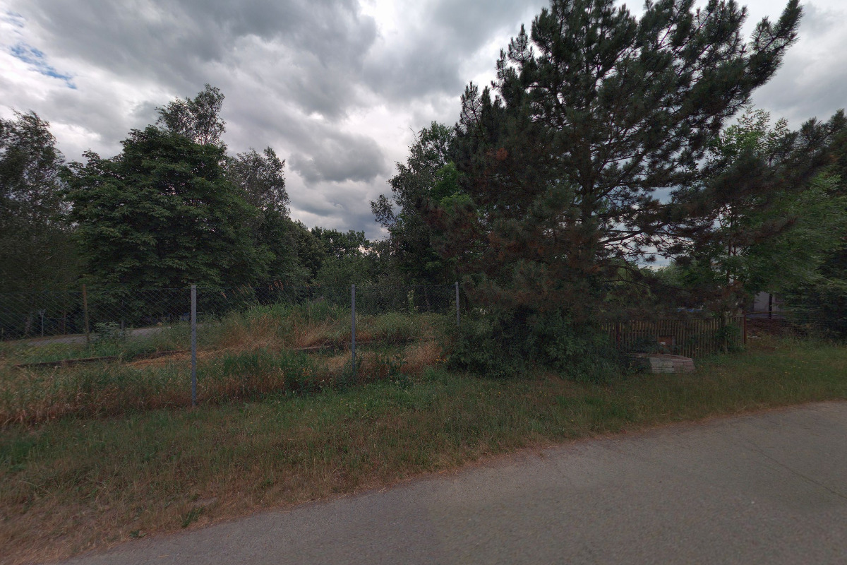 Zámělská zmrzlina