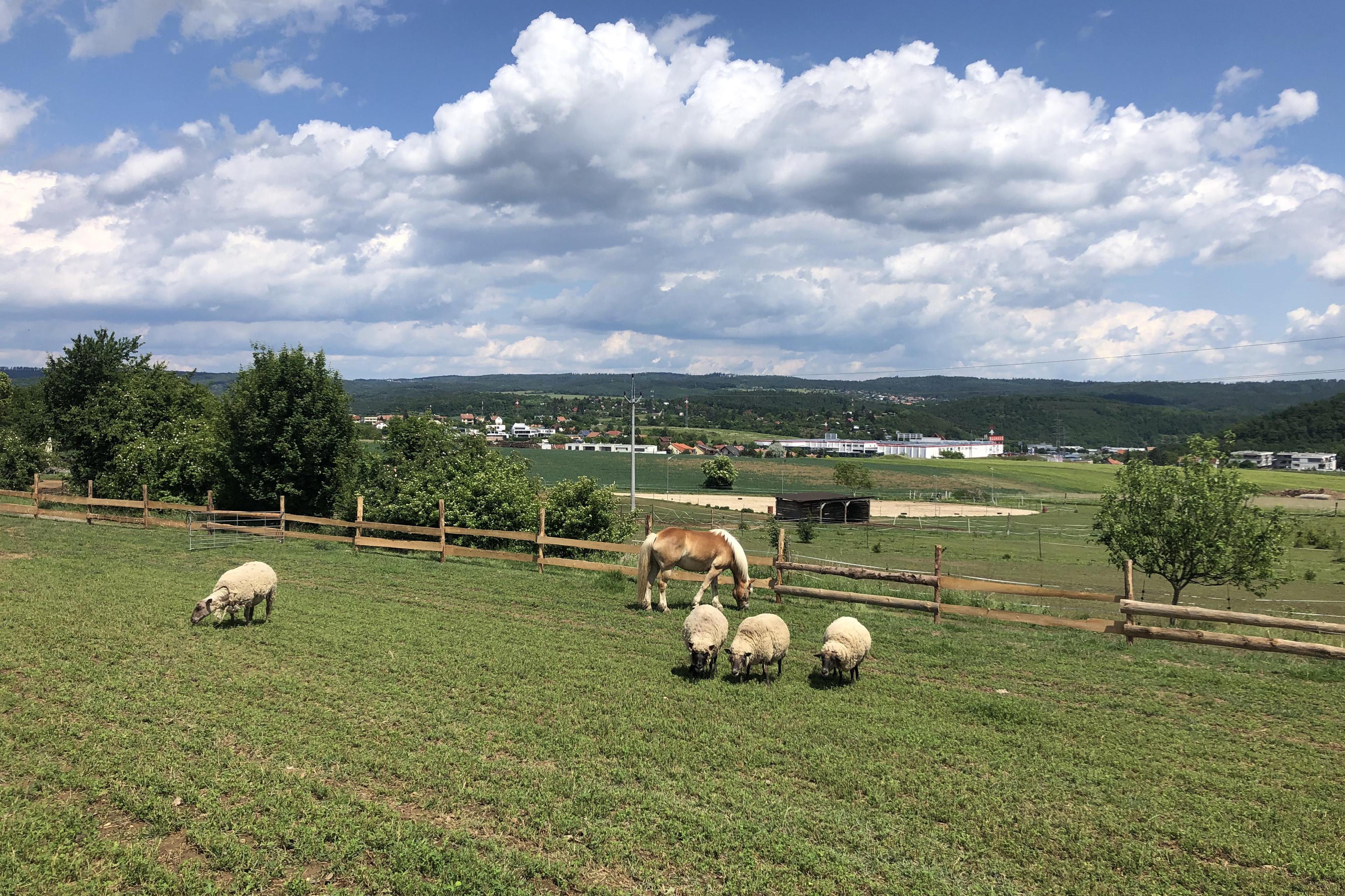 Ranch U Rezavé studánky