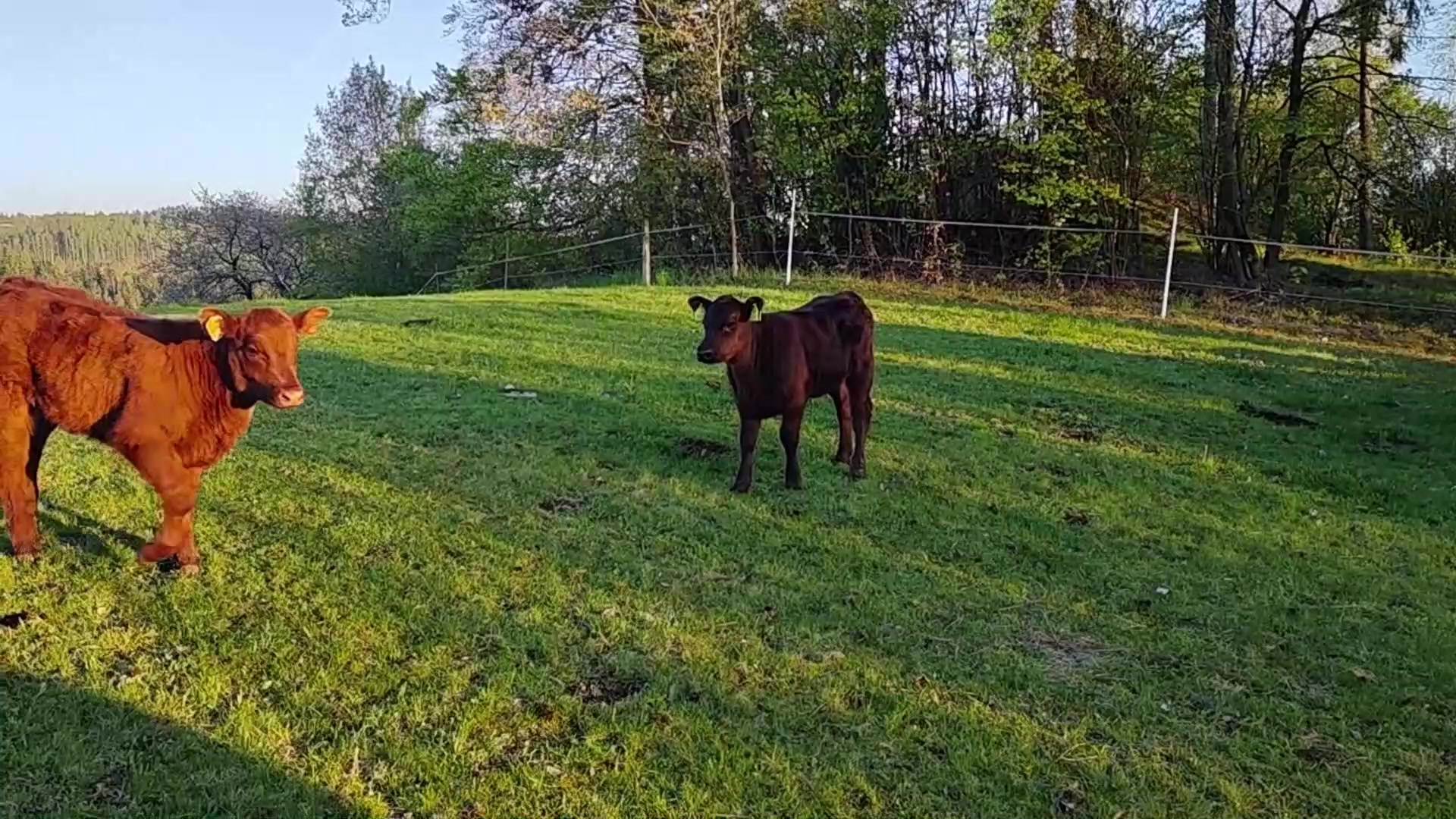 Ranč Kristýnka foto 2 (náhled videa)
