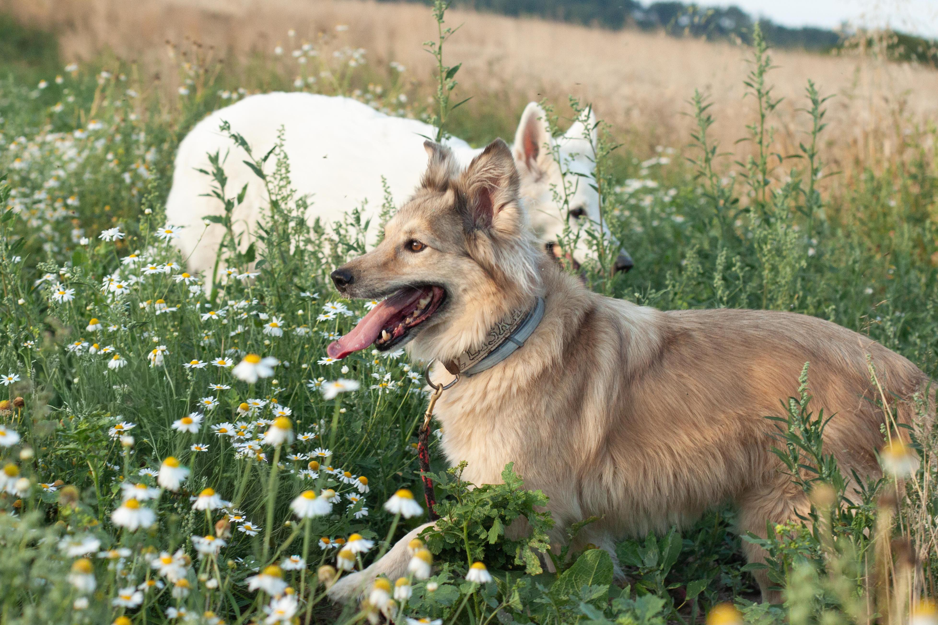 Grafika, fotografie Andy