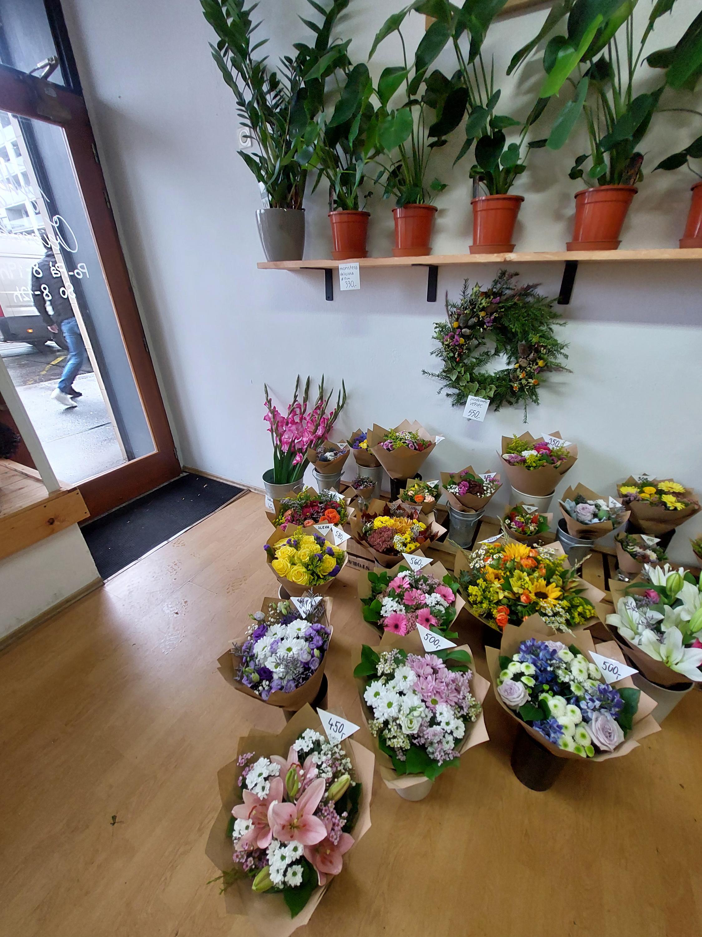 Kytky Orionka foto 4