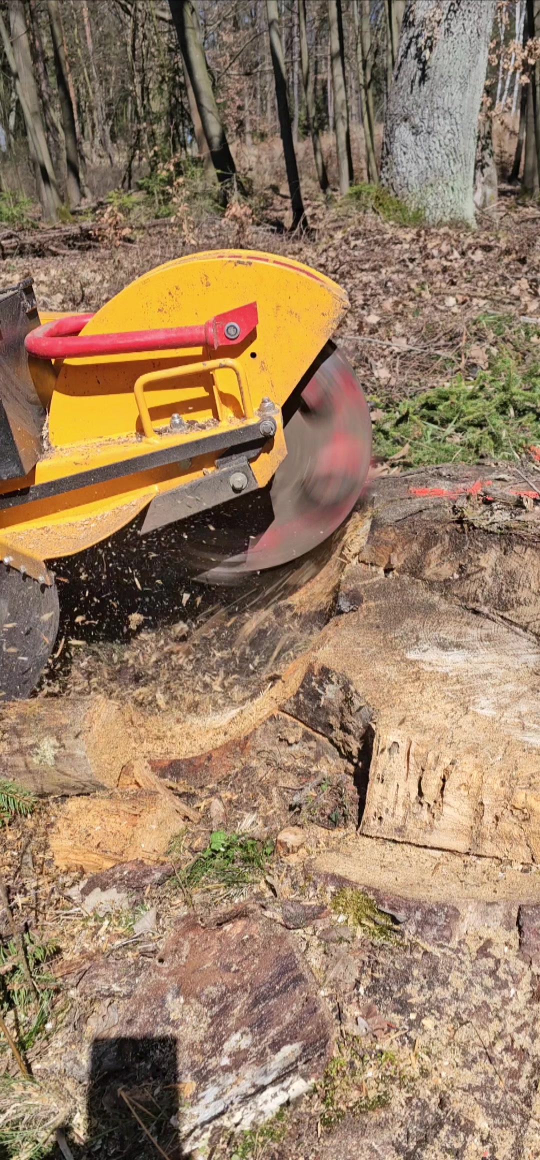 Pařezy-likvidace.cz foto 2 (náhled videa)