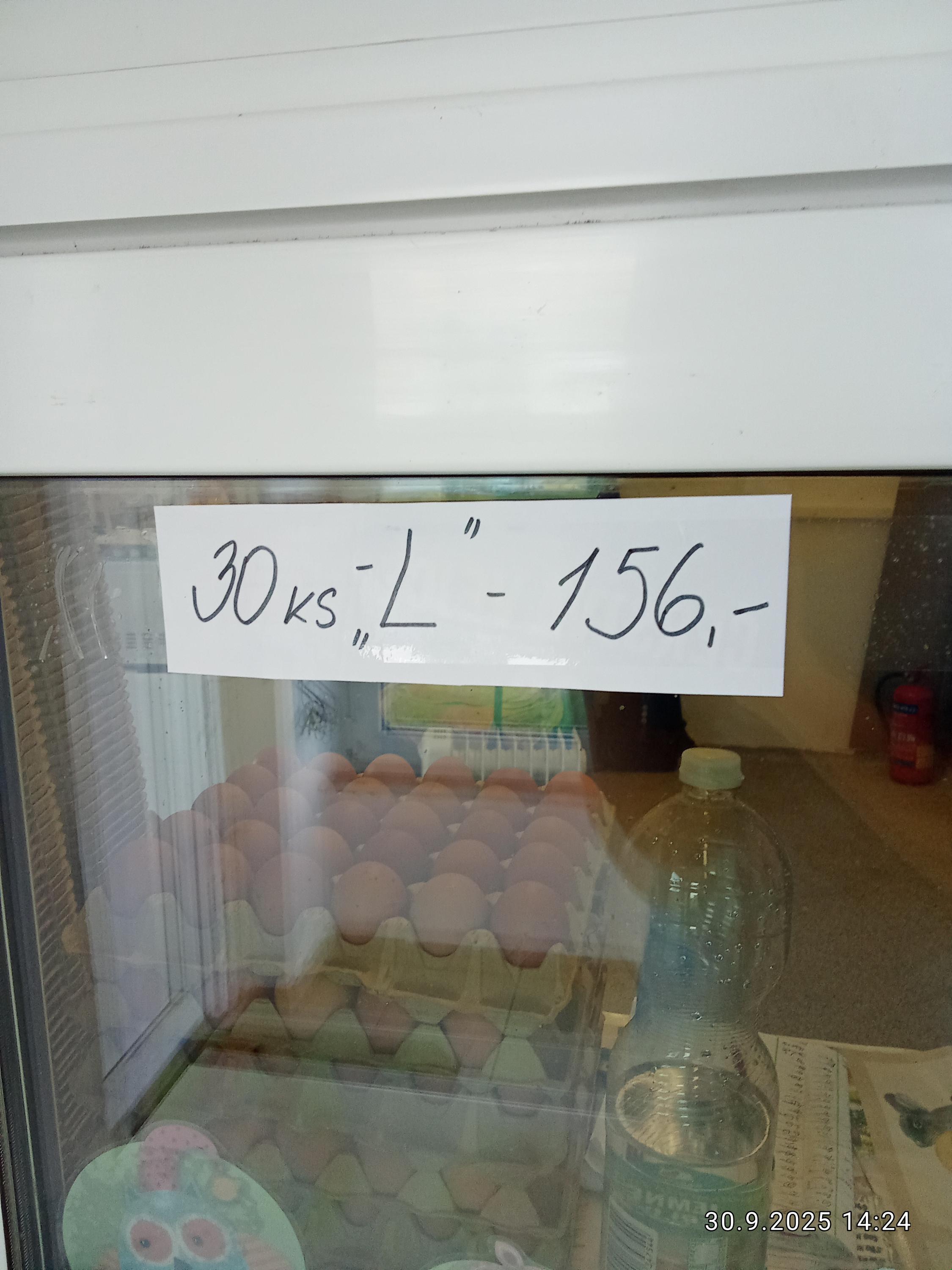 VEJCE CZ, s.r.o. foto 3